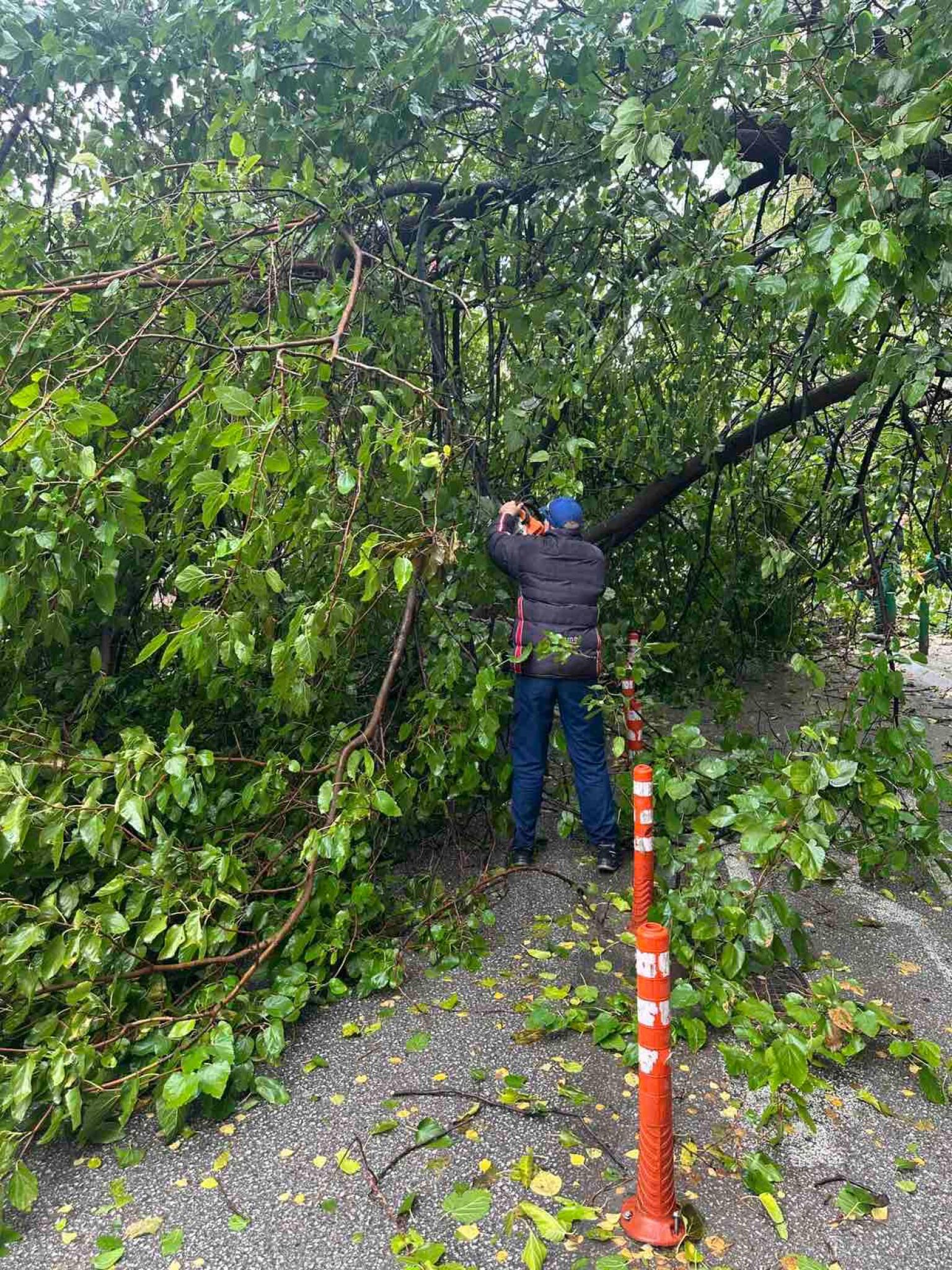 media-libraryfmm5e52lgck18Vhpwch