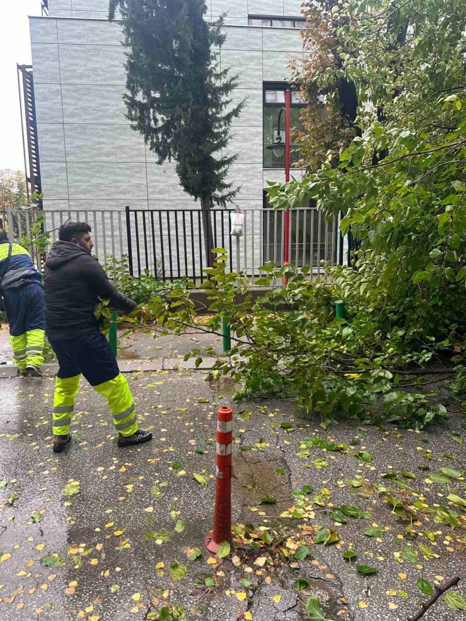 media-libraryfuigvtognitncEdXOgR