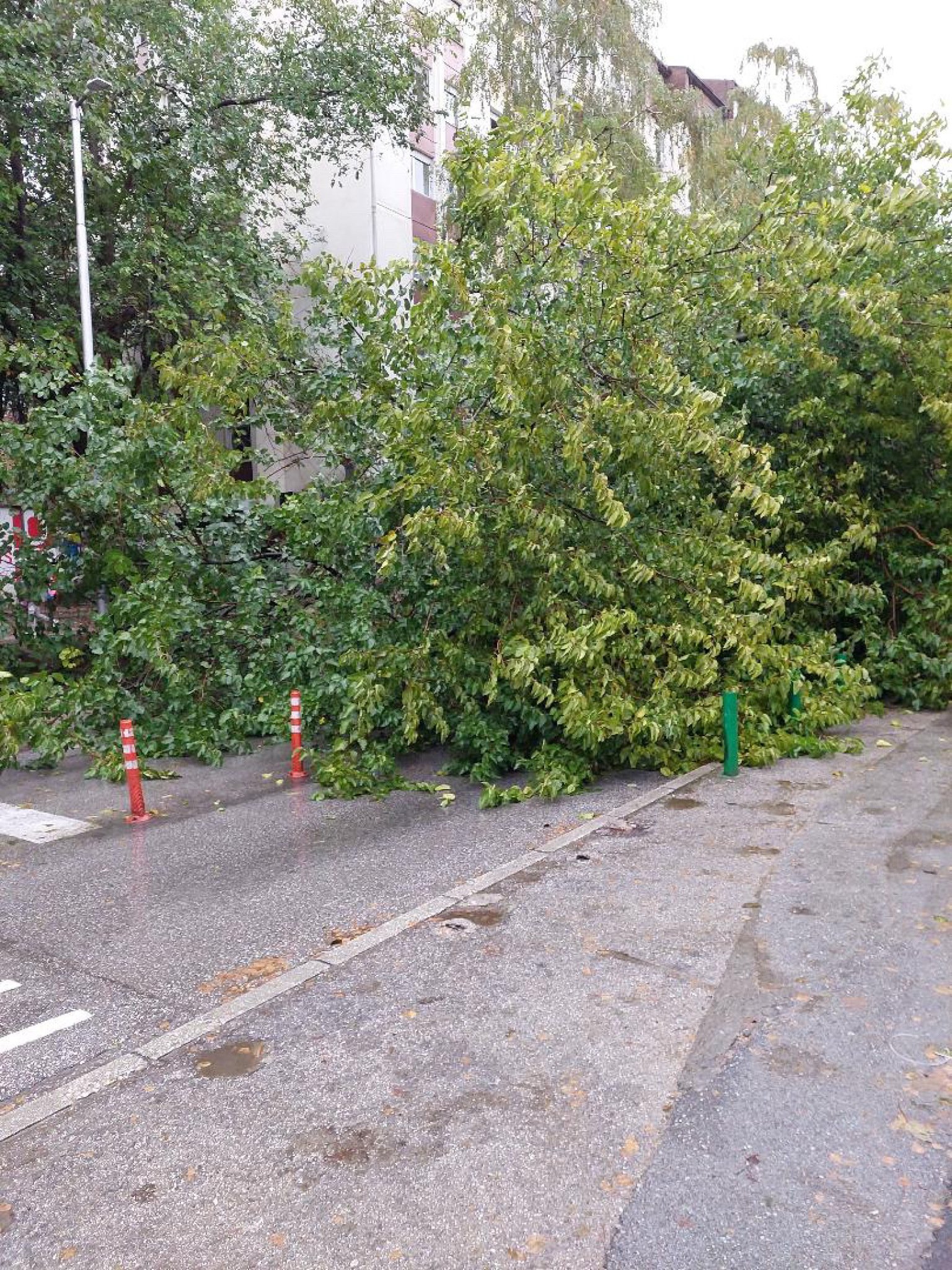 media-libraryd9bcsqum2on2bs6HdpD