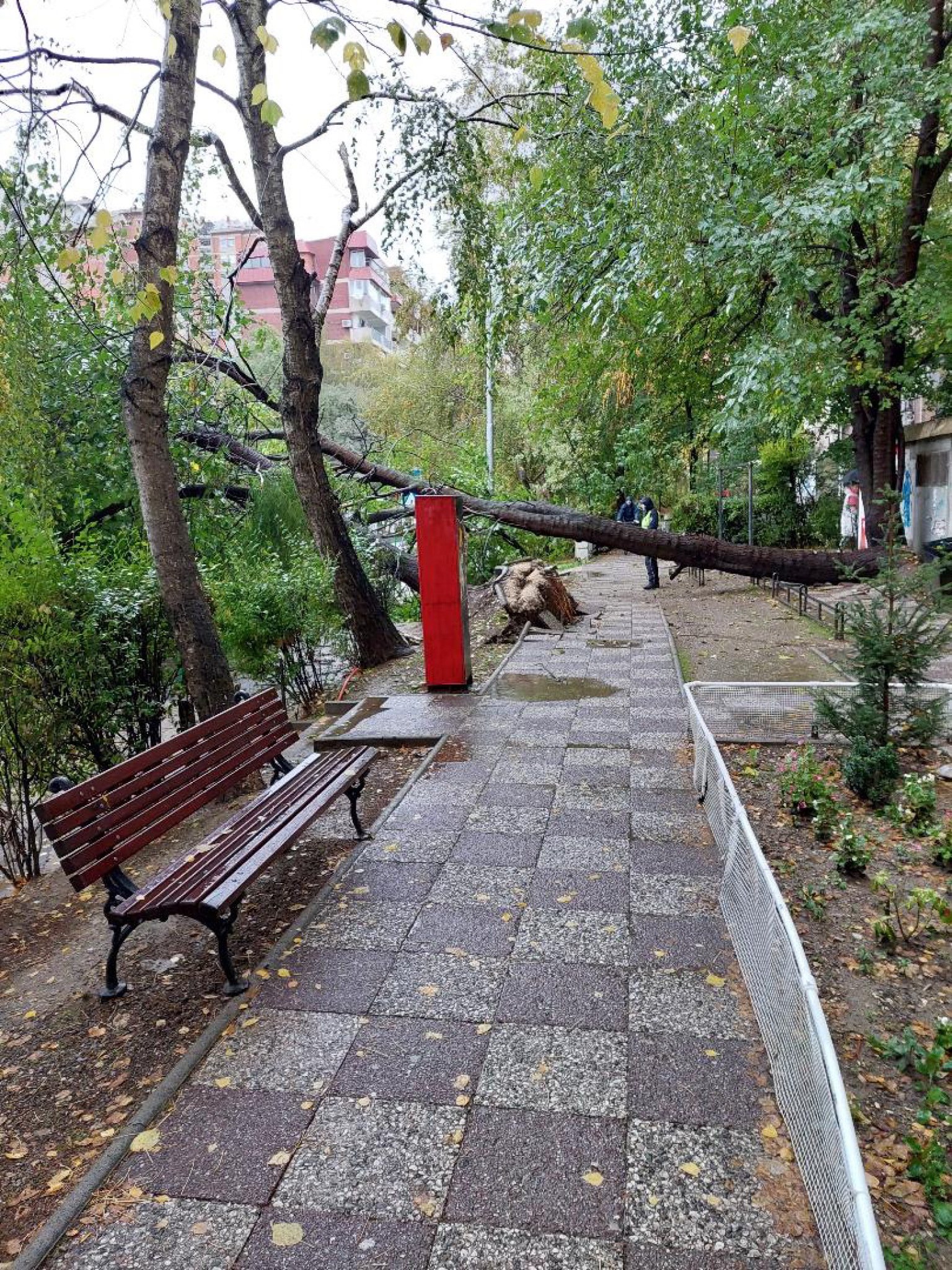 media-library7jiidd6bs24h2bxgqBW