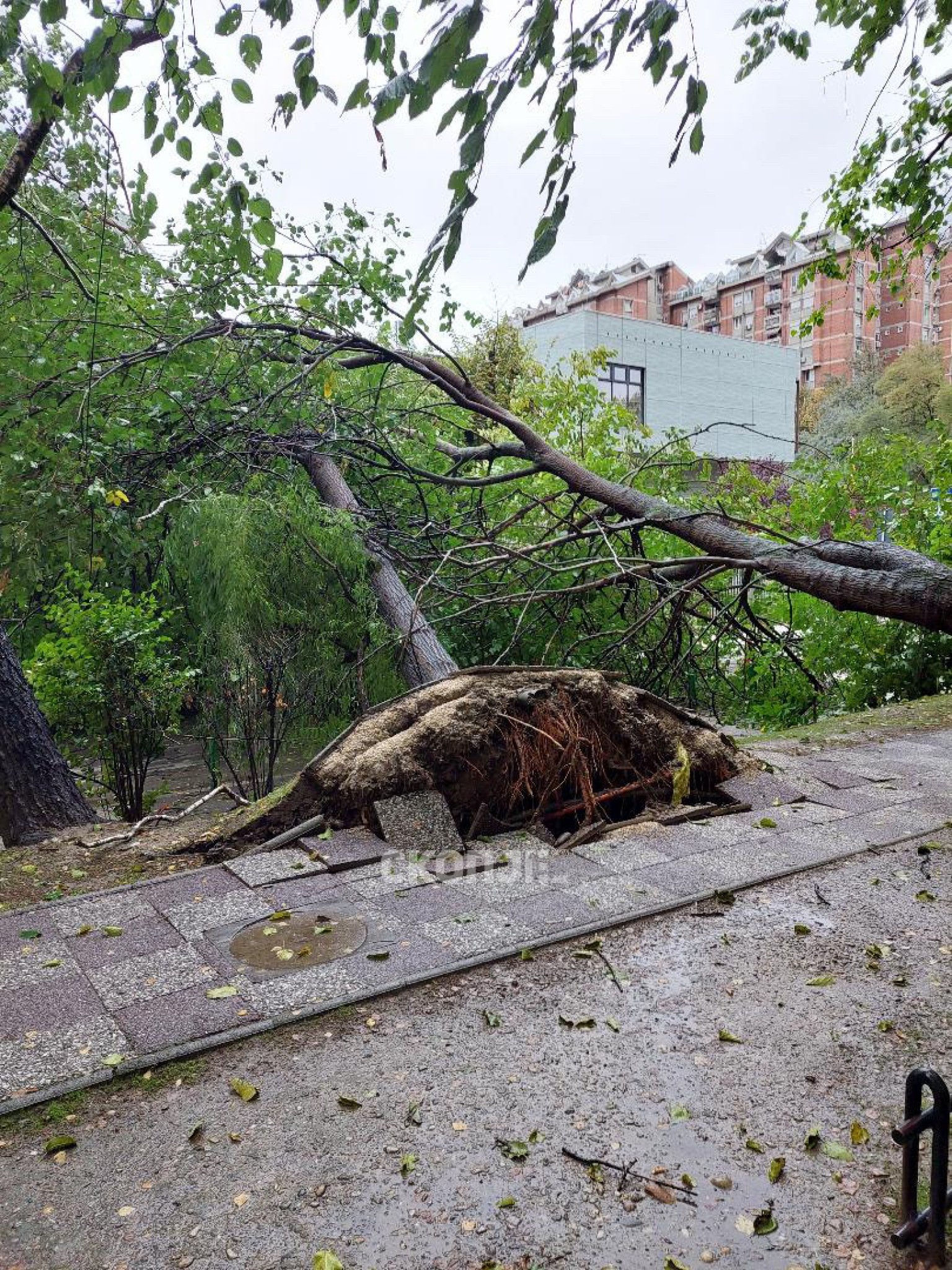 media-library3ob1699g23rk0h7j20O