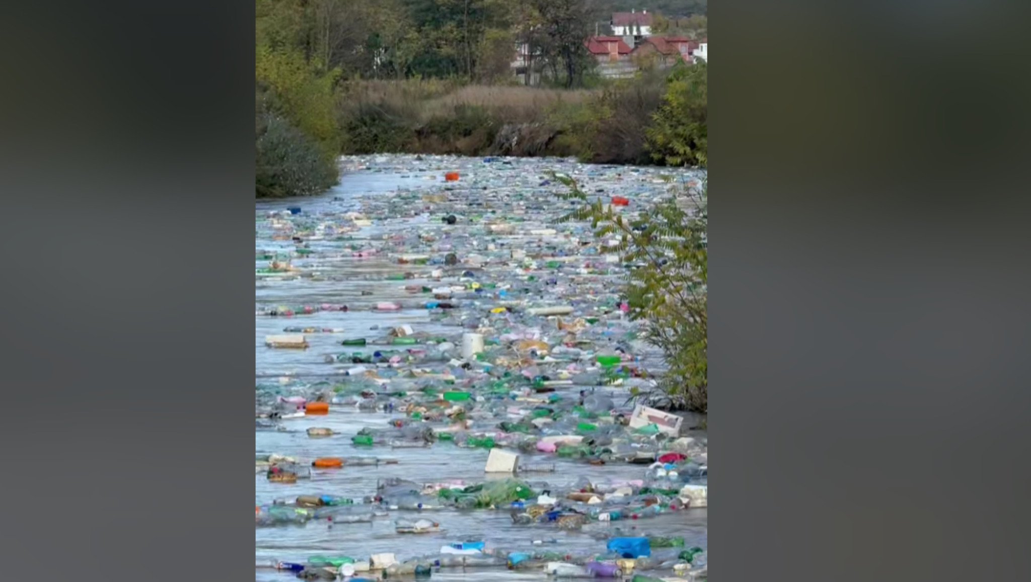 media-librarylebg1ujgj0va9zRLi3F