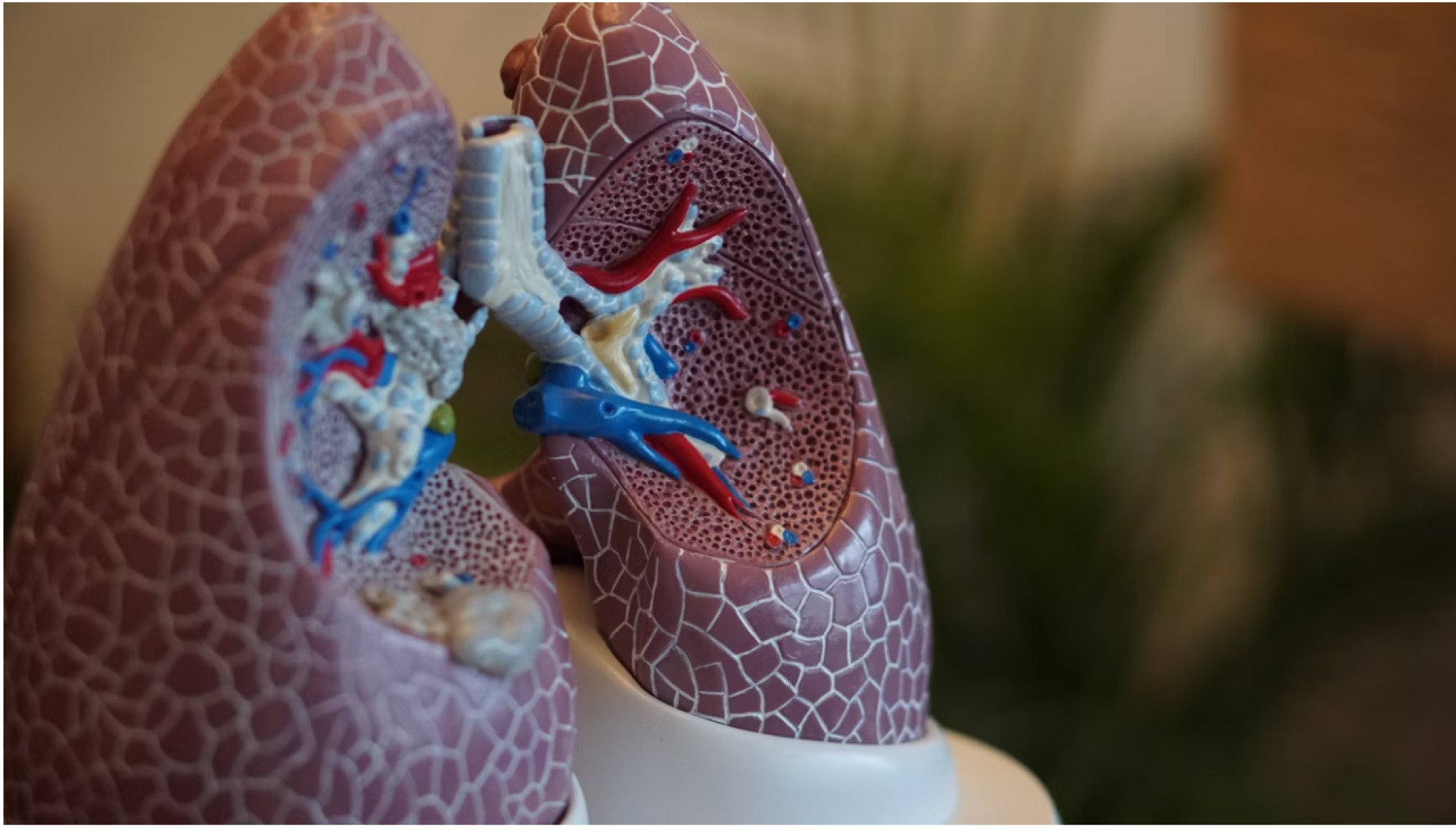 media-library9tql4k1po3g60Lkorlq