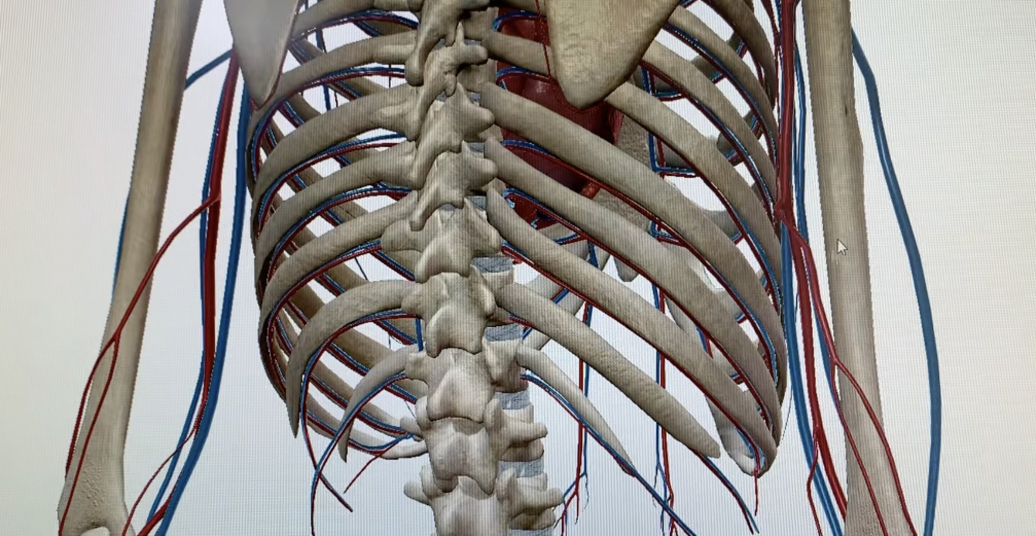 media-libraryvi4sr6lk7p2v6KSfszQ