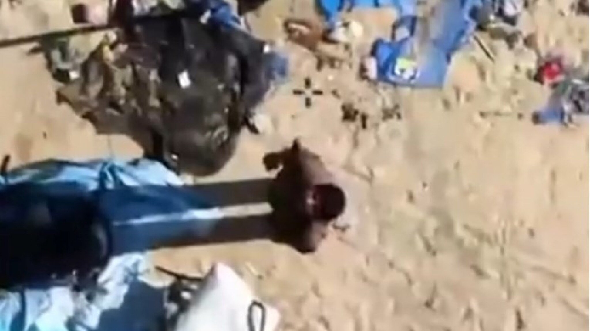 media-libraryvbeiv6jv3o2seOiV3dF