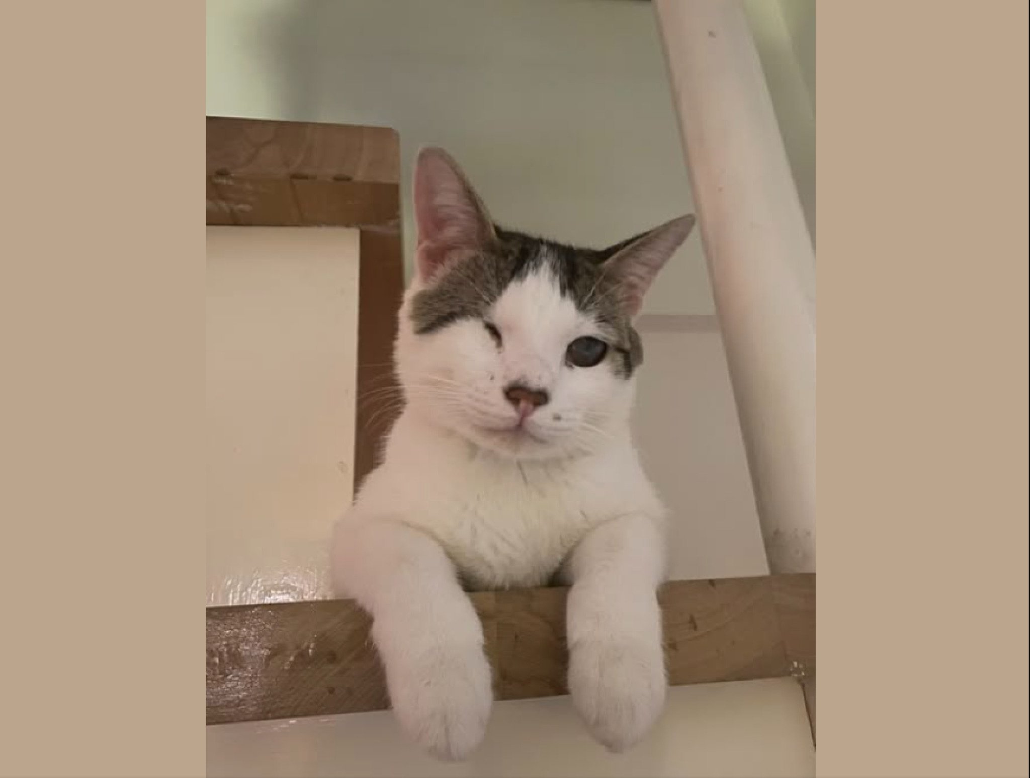 media-libraryfgb860p510ea3aRYzwH