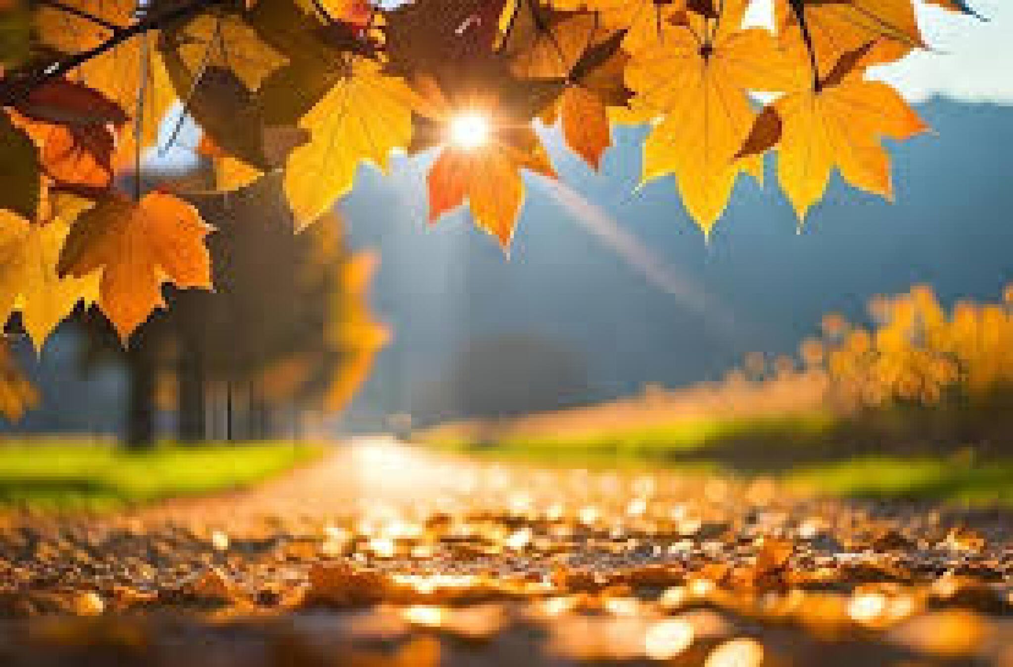 media-library4f9ghssobnmhal5CcpH