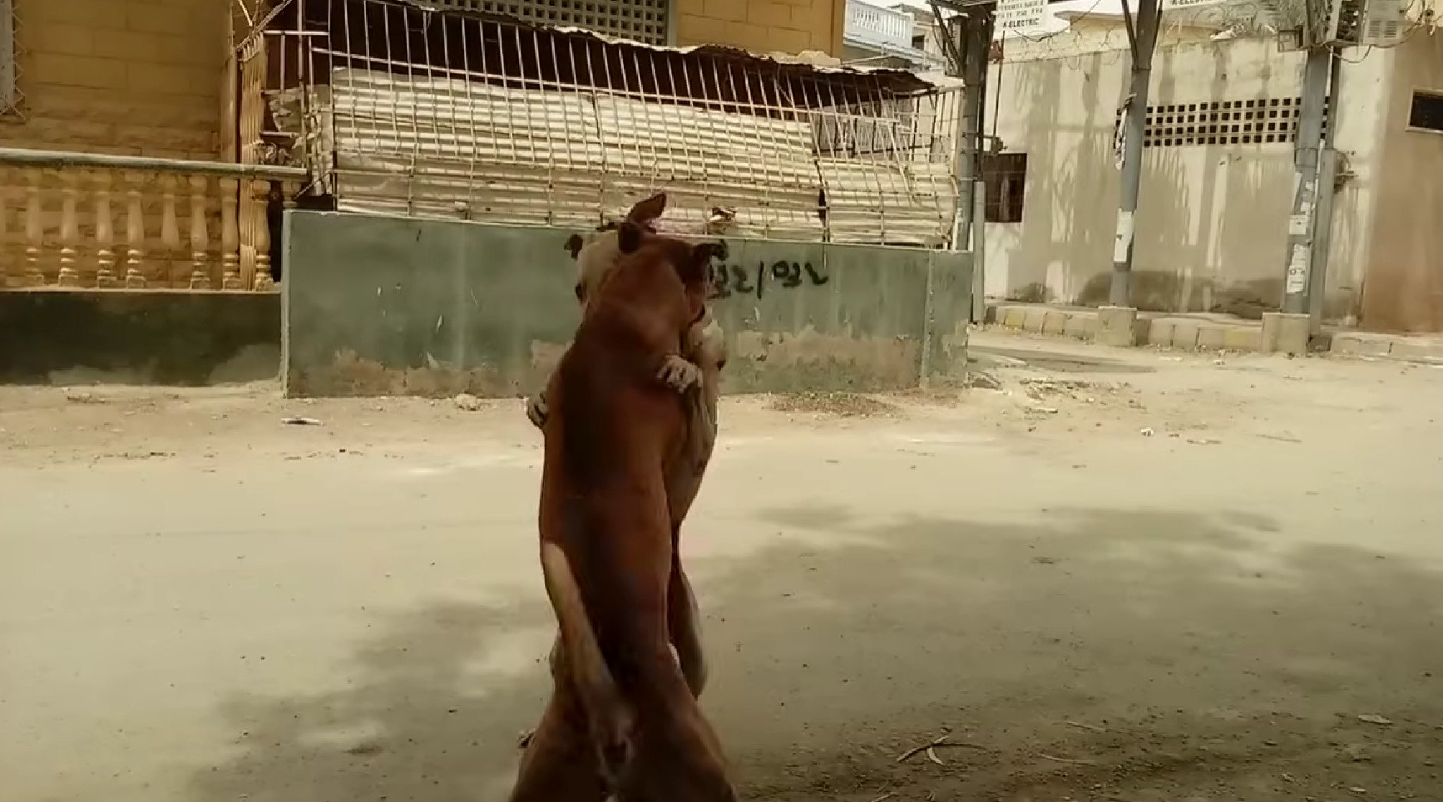 media-libraryfvs3ko4ojui4eDcDRAJ