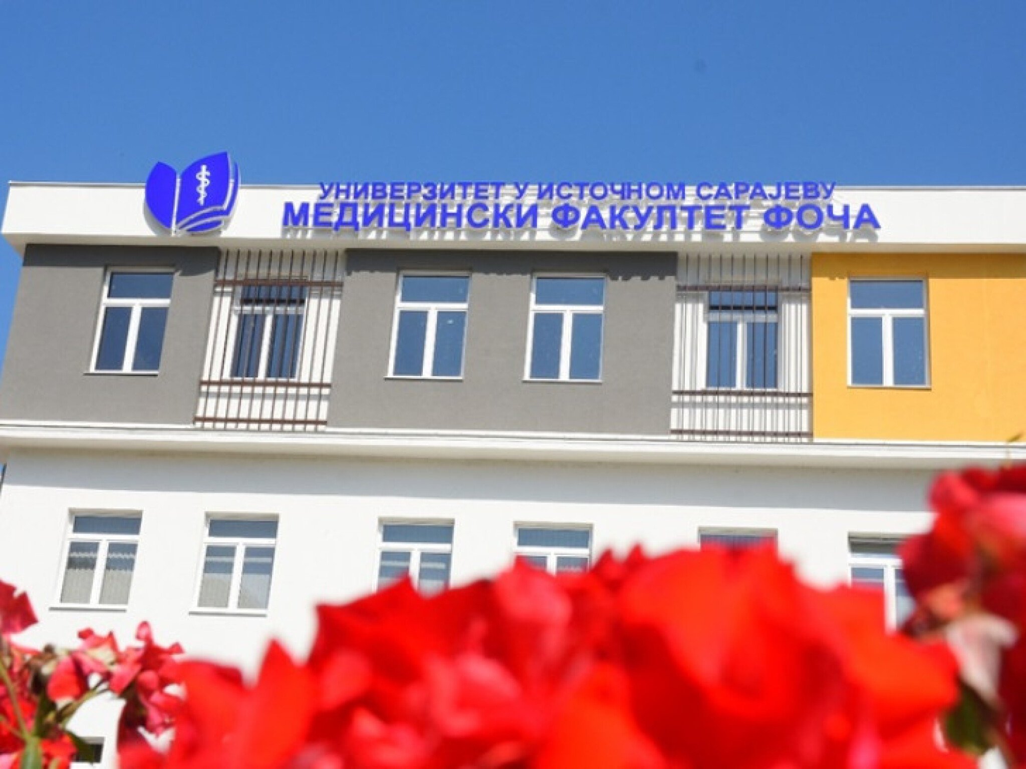 media-library37le303imqeu0N25MsF