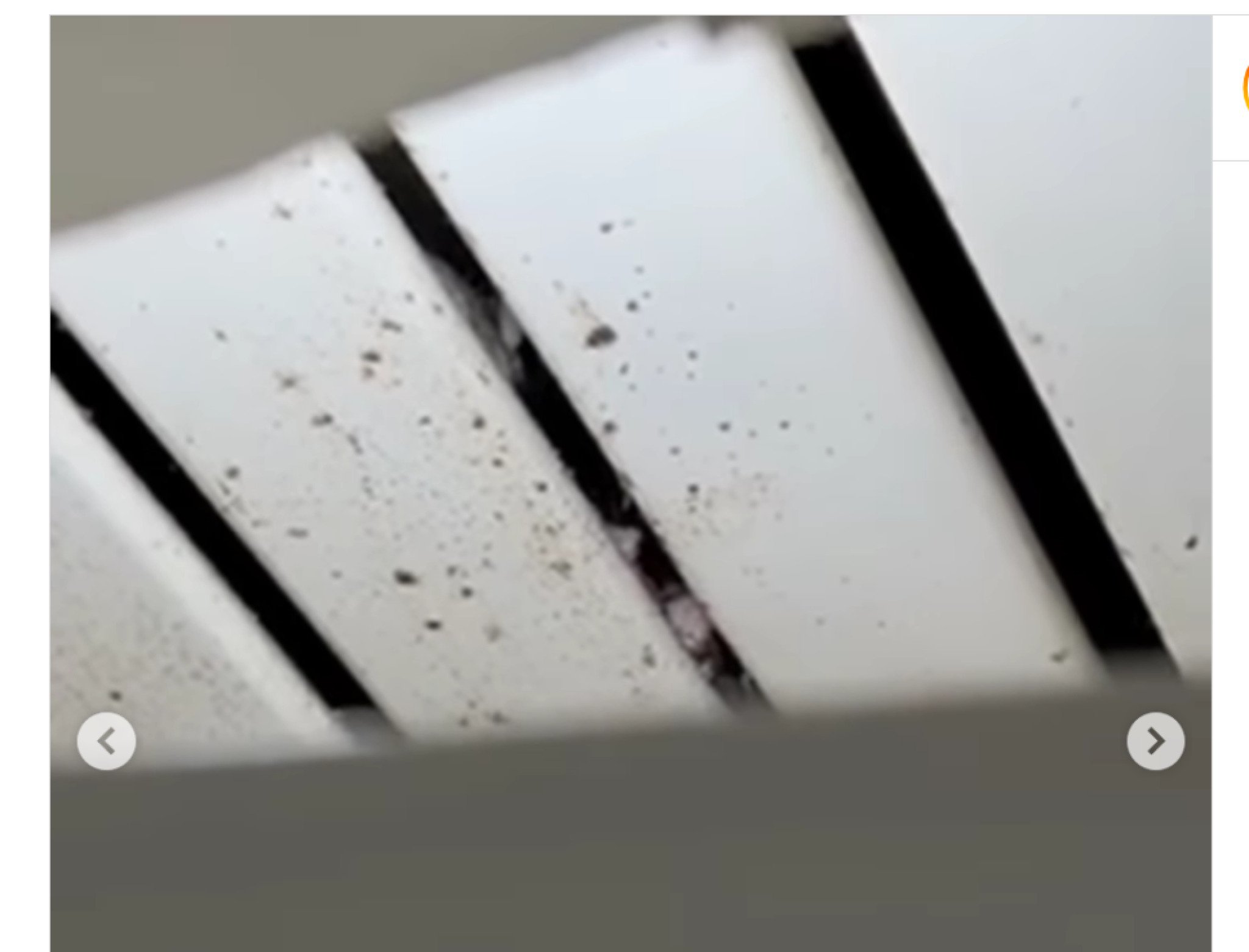 media-librarysk2psehhojvi4xzmWCN