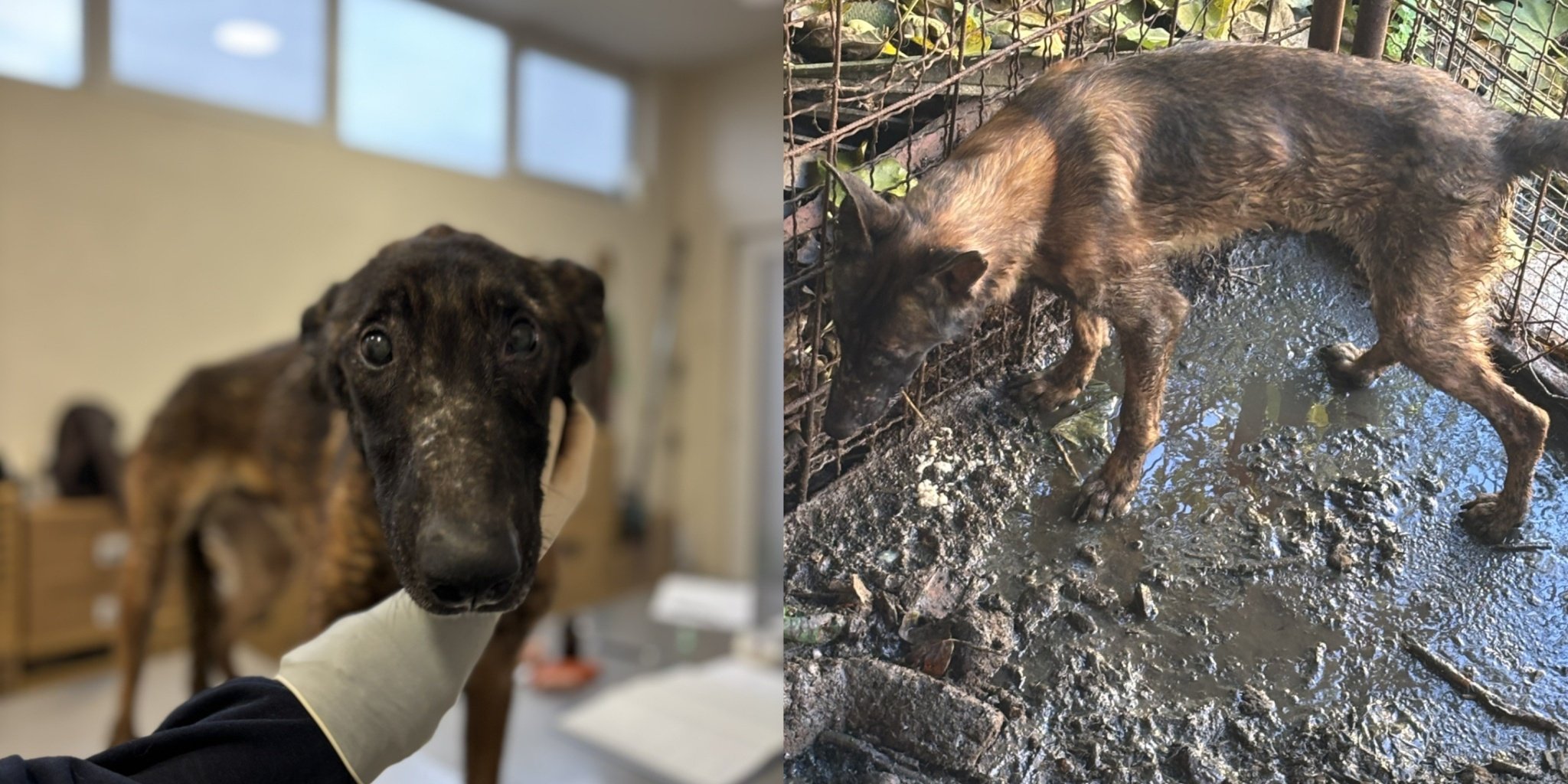 media-libraryort2c1tf3b8u0b7KRft