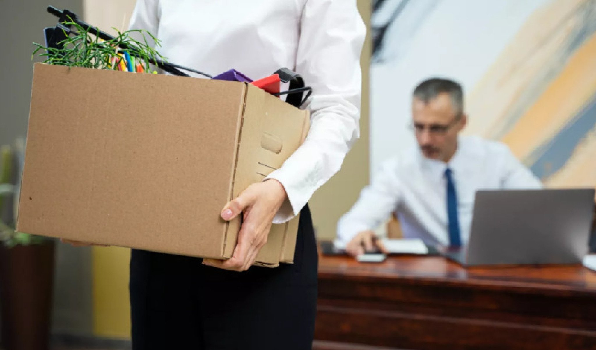 media-libraryk5ihj9l073l9czr9KOG