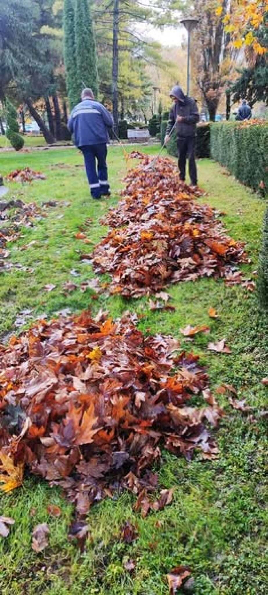 media-libraryfknjiigriljjbL7JWgC