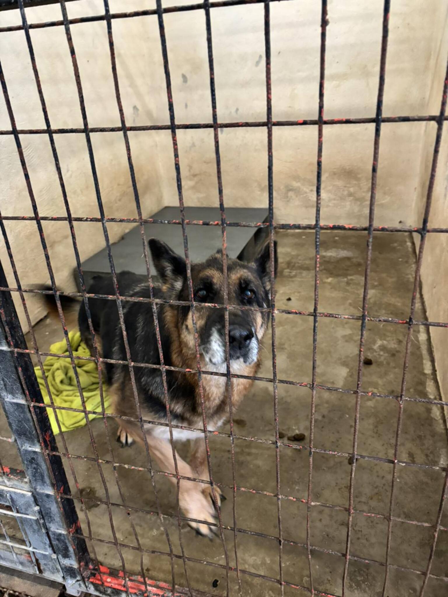 media-libraryk5eeclplquot4L24qEc