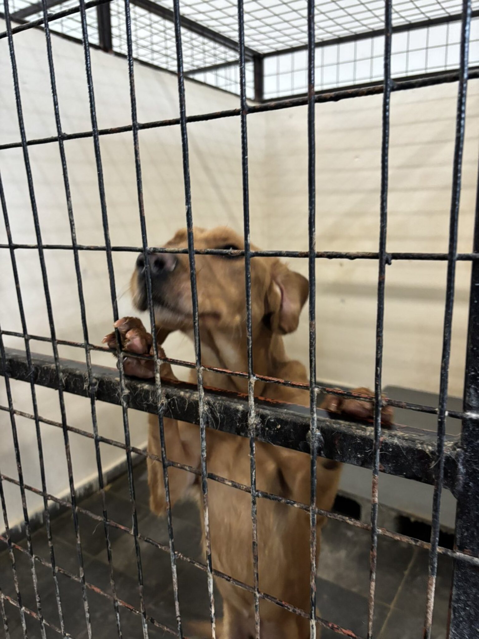 media-library558kdnt22jjqdn63hj6