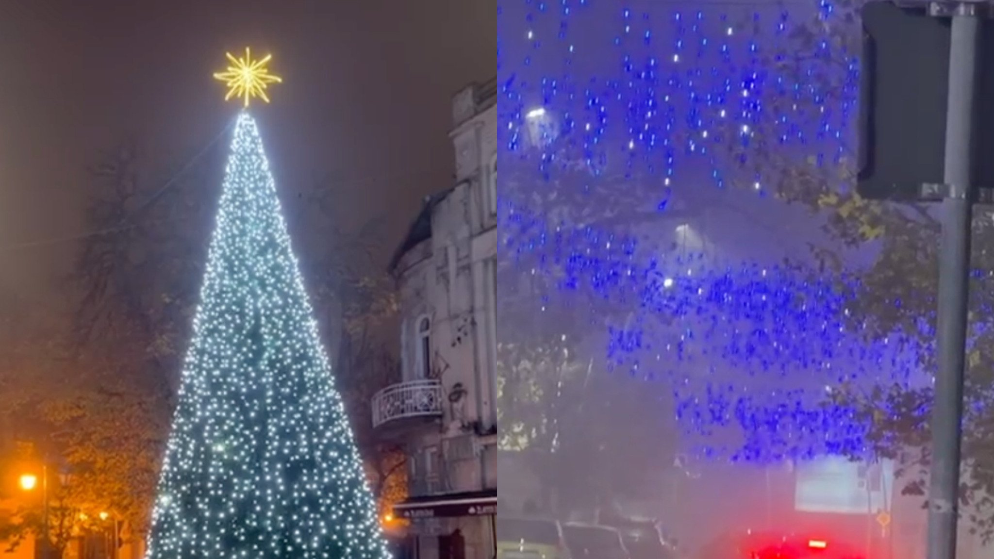 media-library4p24ct9cheor2yX9tdh