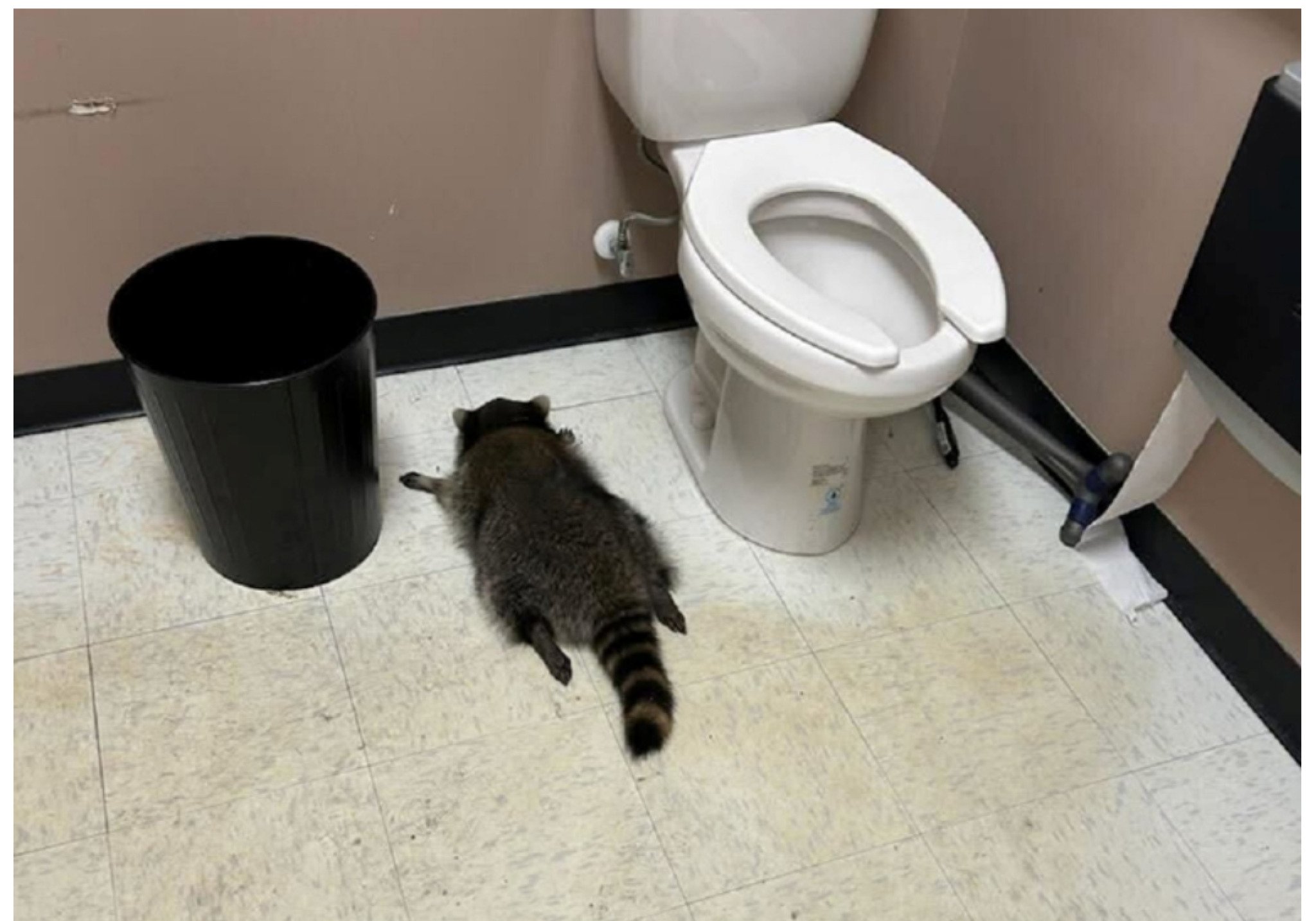 media-library3aqoqdaee74iaVIGPdc