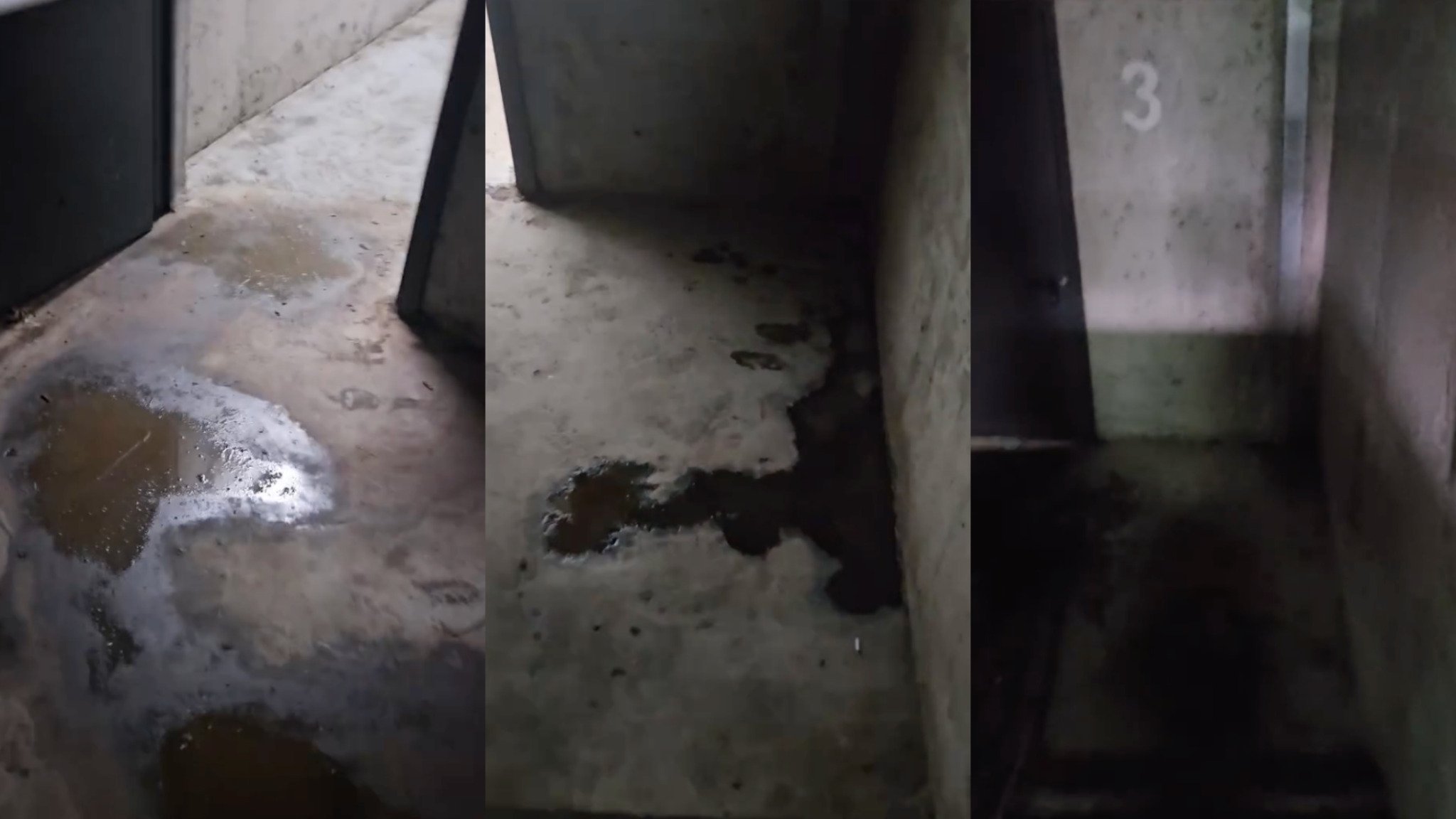 media-librarya2e0acrpagtl0hzPtwC