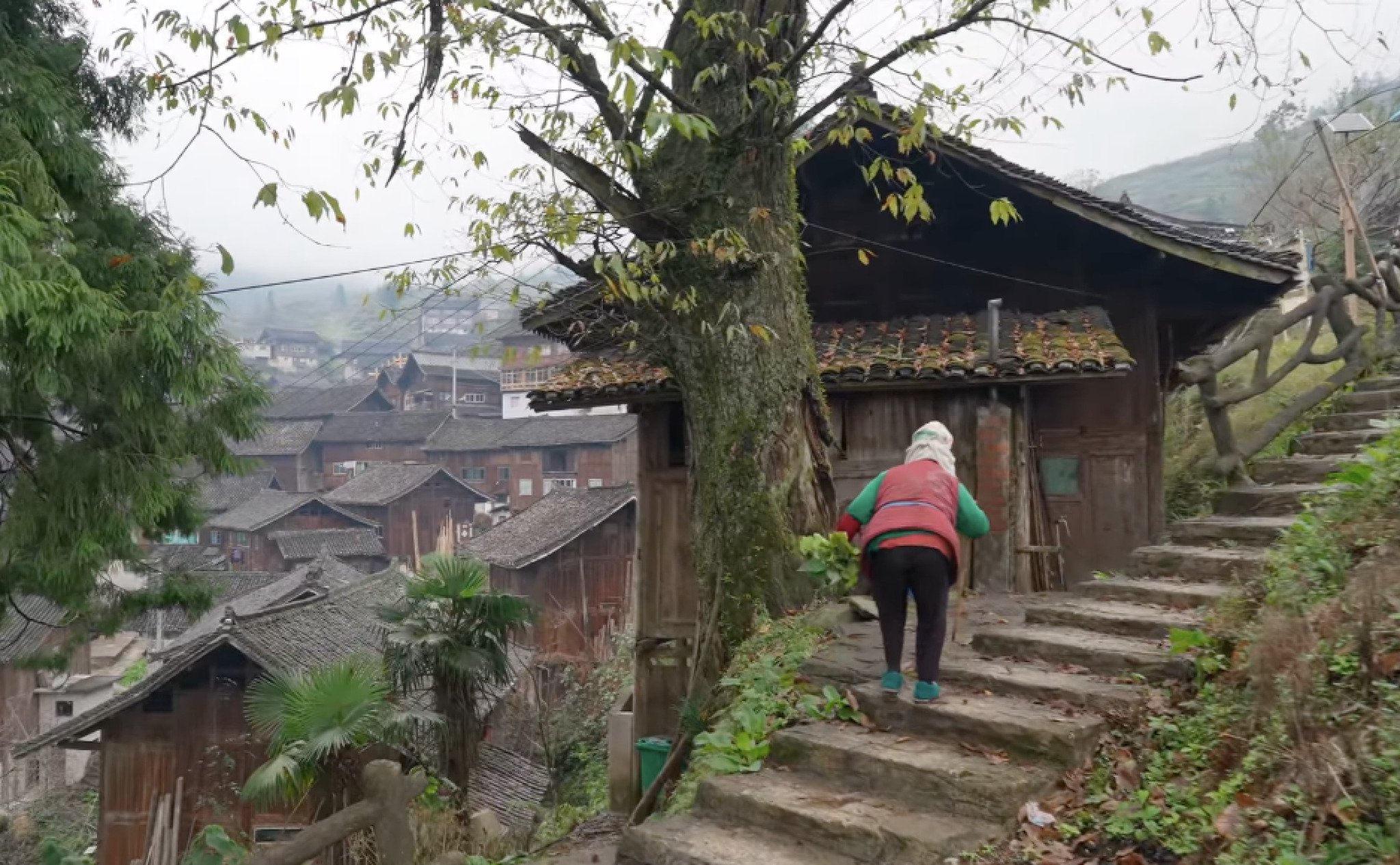 media-libraryq773va4904cn1eCLz05