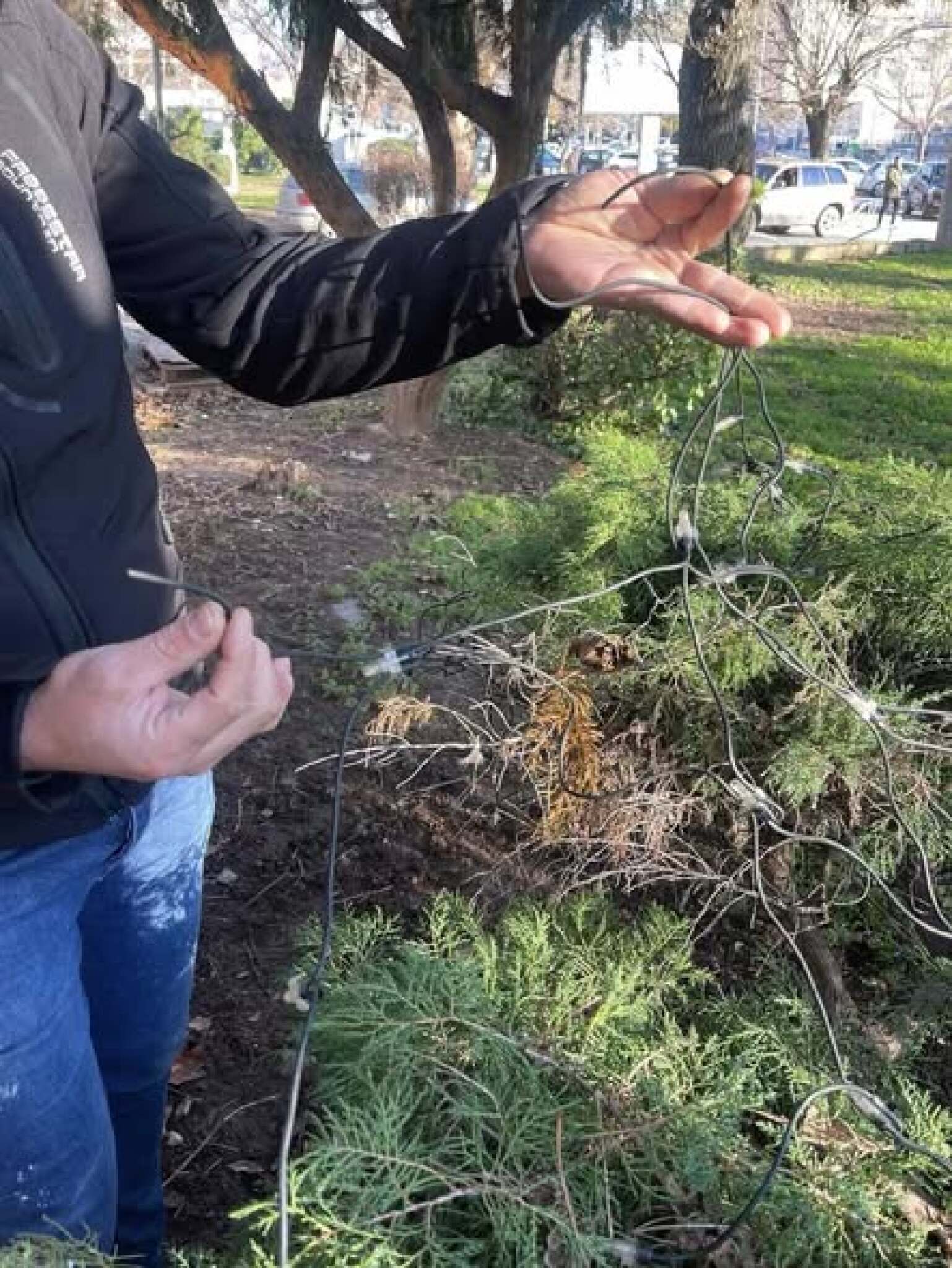 media-library7i3pvtnk1luub0dOgNP