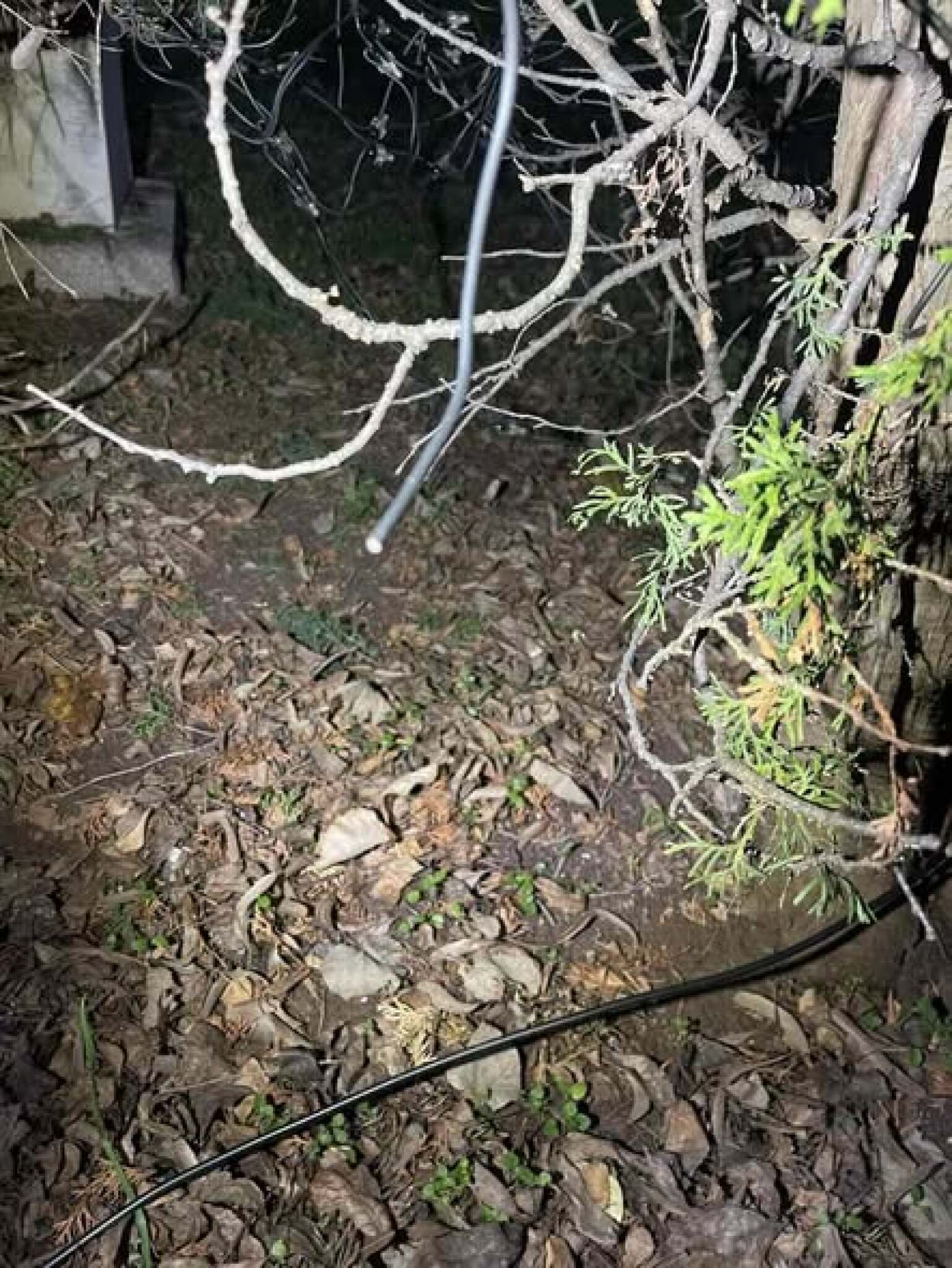 media-librarya6i8190oadpeemSJWeF