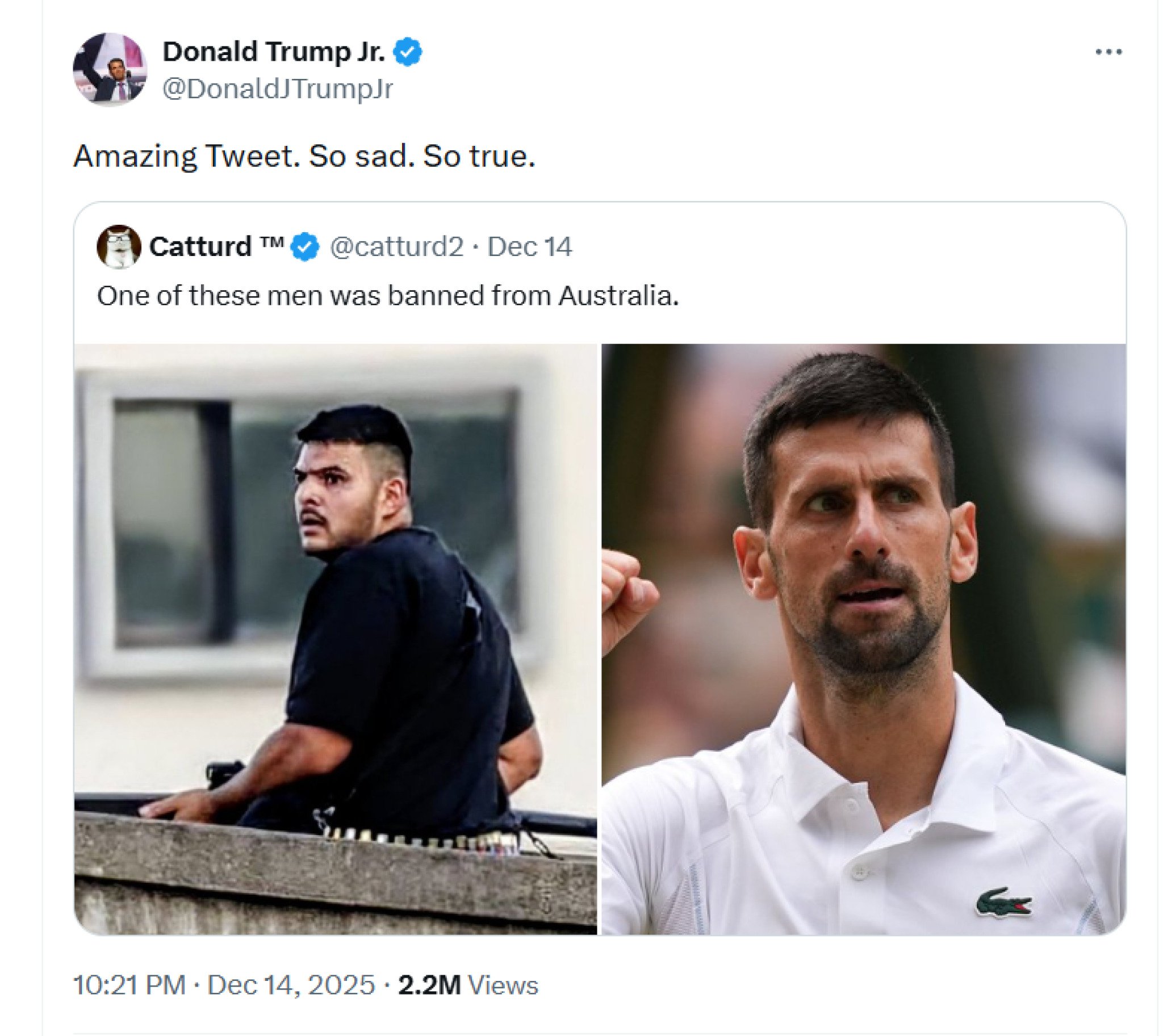 media-librarymieqmlo5umbia3PZgJn