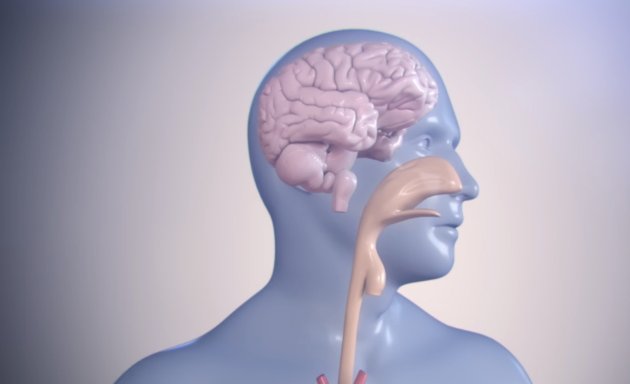 media-libraryb9hpmhqc1h49d3wkBja