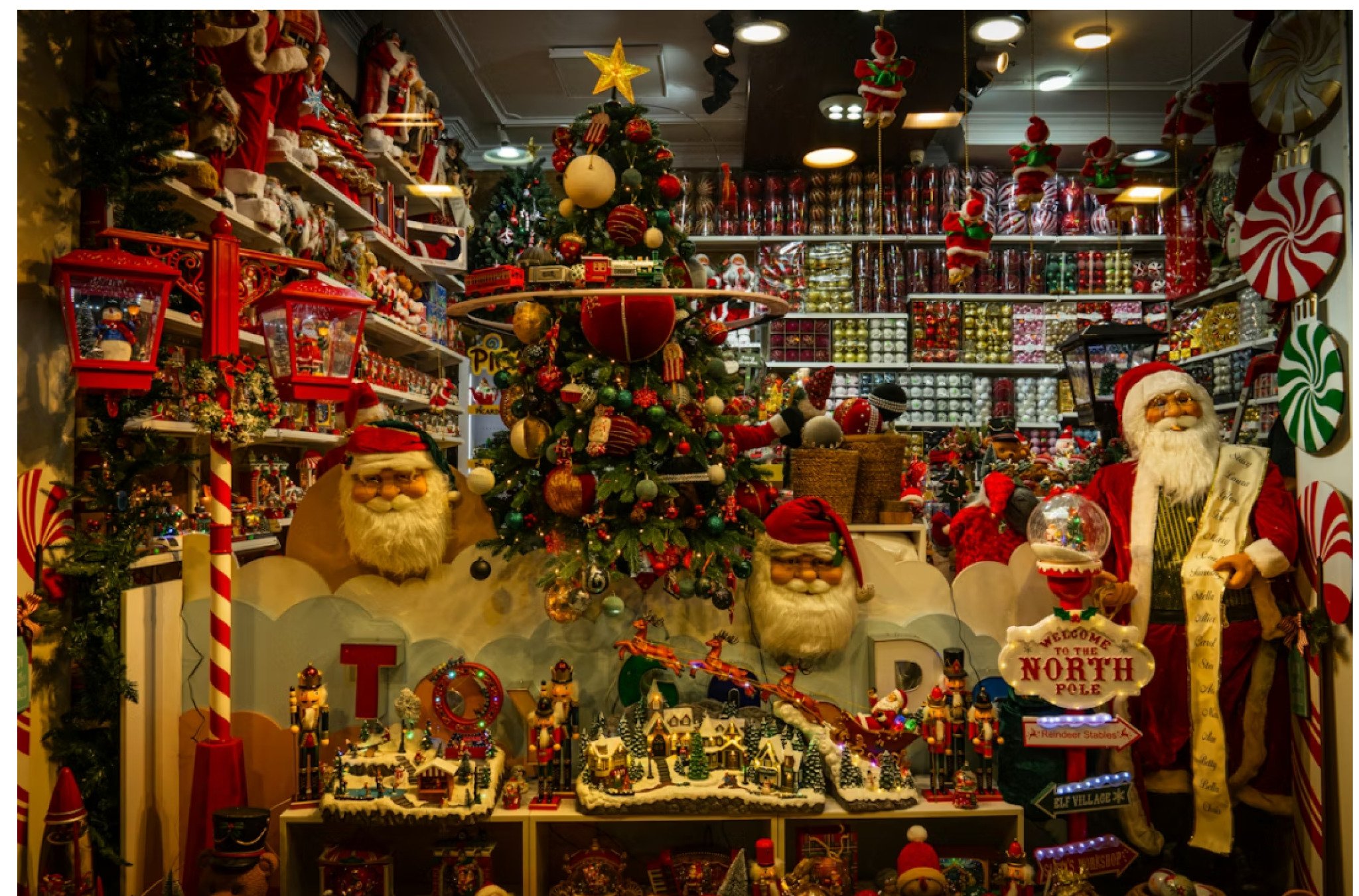 media-library1b69k04qlg546TOjRVB