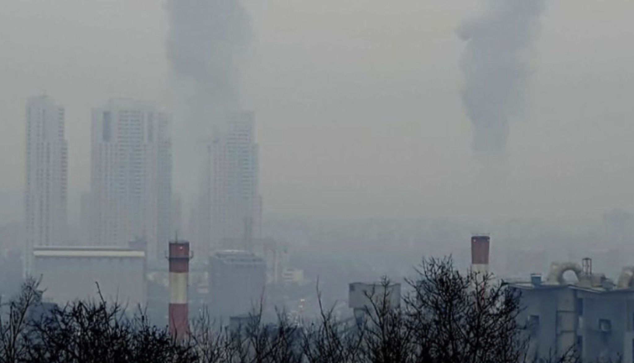 media-libraryhkvehqpqro8ibyMuijK