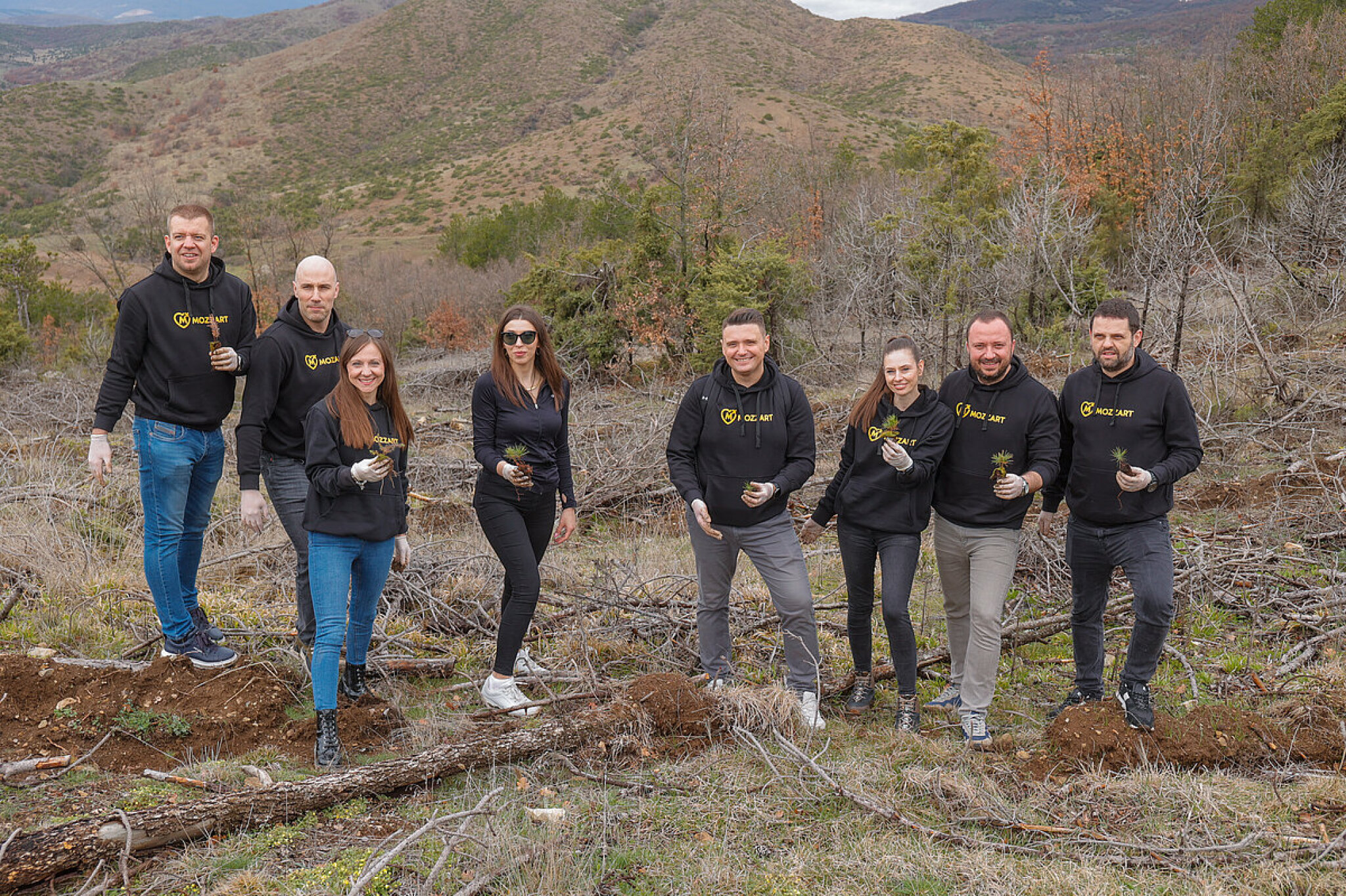 media-libraryjn1b4kd963hq4eeigvs