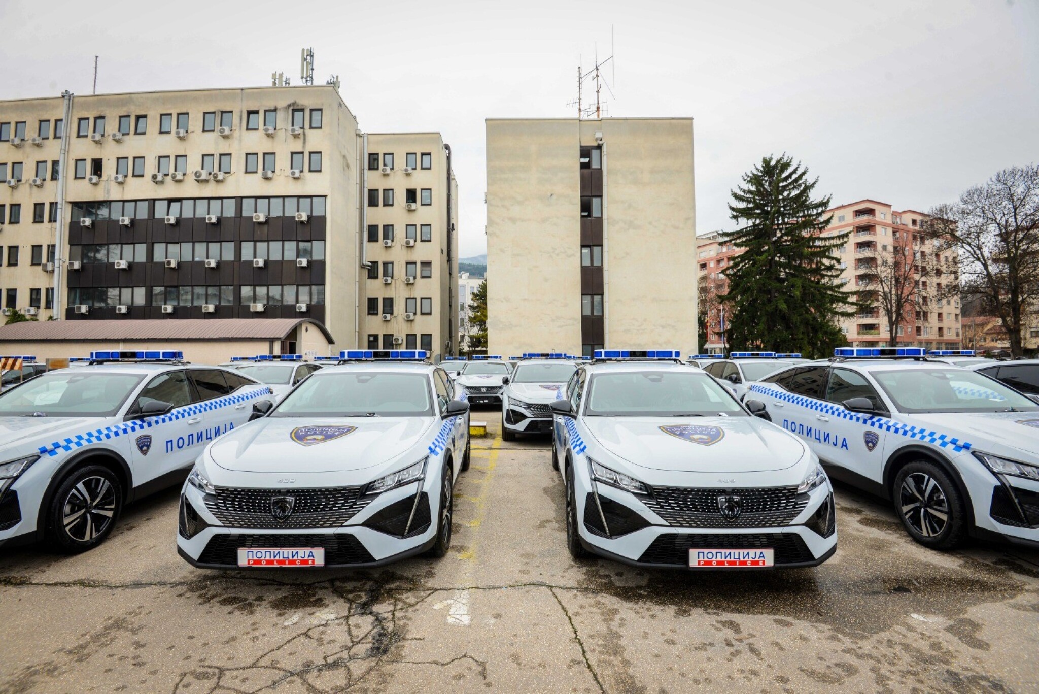 media-librarydkjegu14u0hh079sDN0