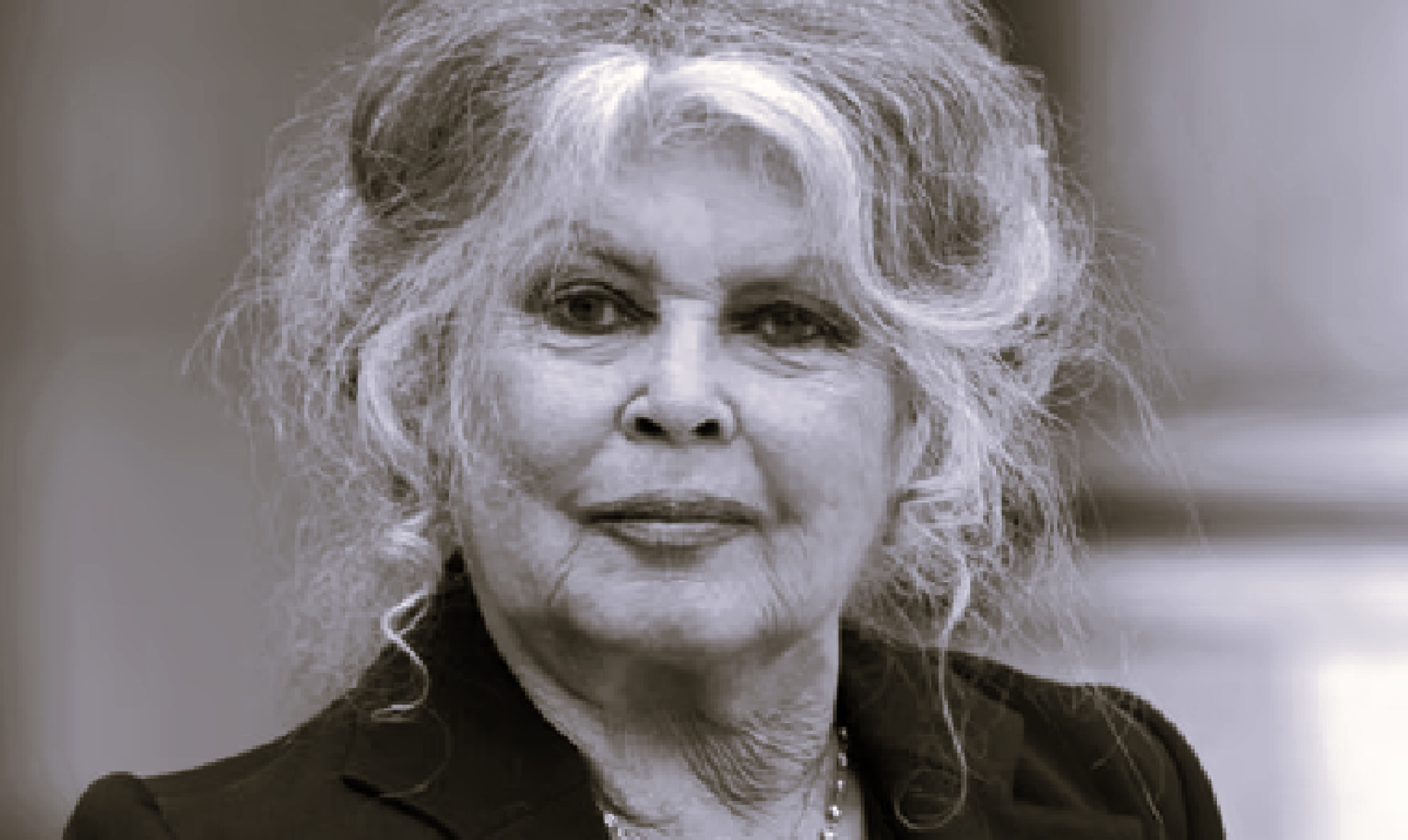 media-libraryj7a9fksk7iq18FviksD