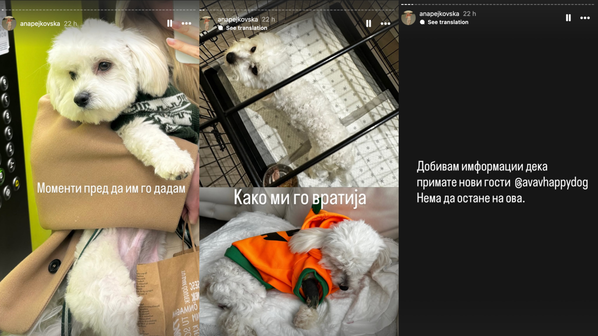 media-libraryvghf8bntf4ibbu2Xao7