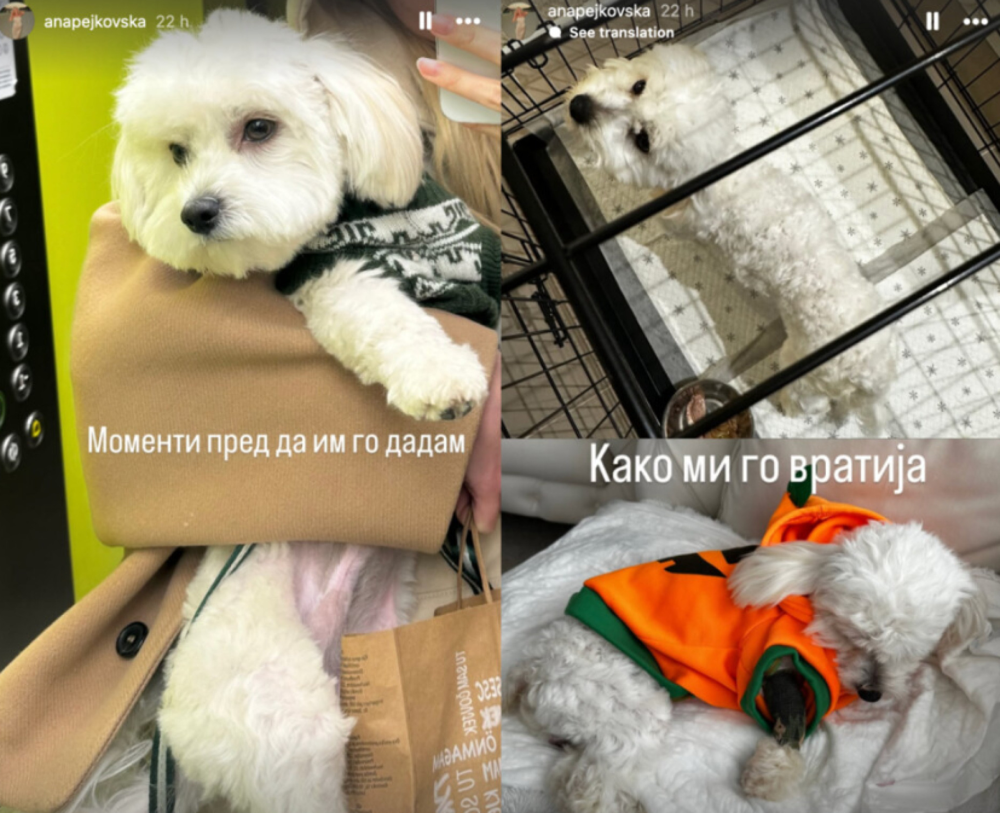 media-libraryutq4auke5na22ykDHyz