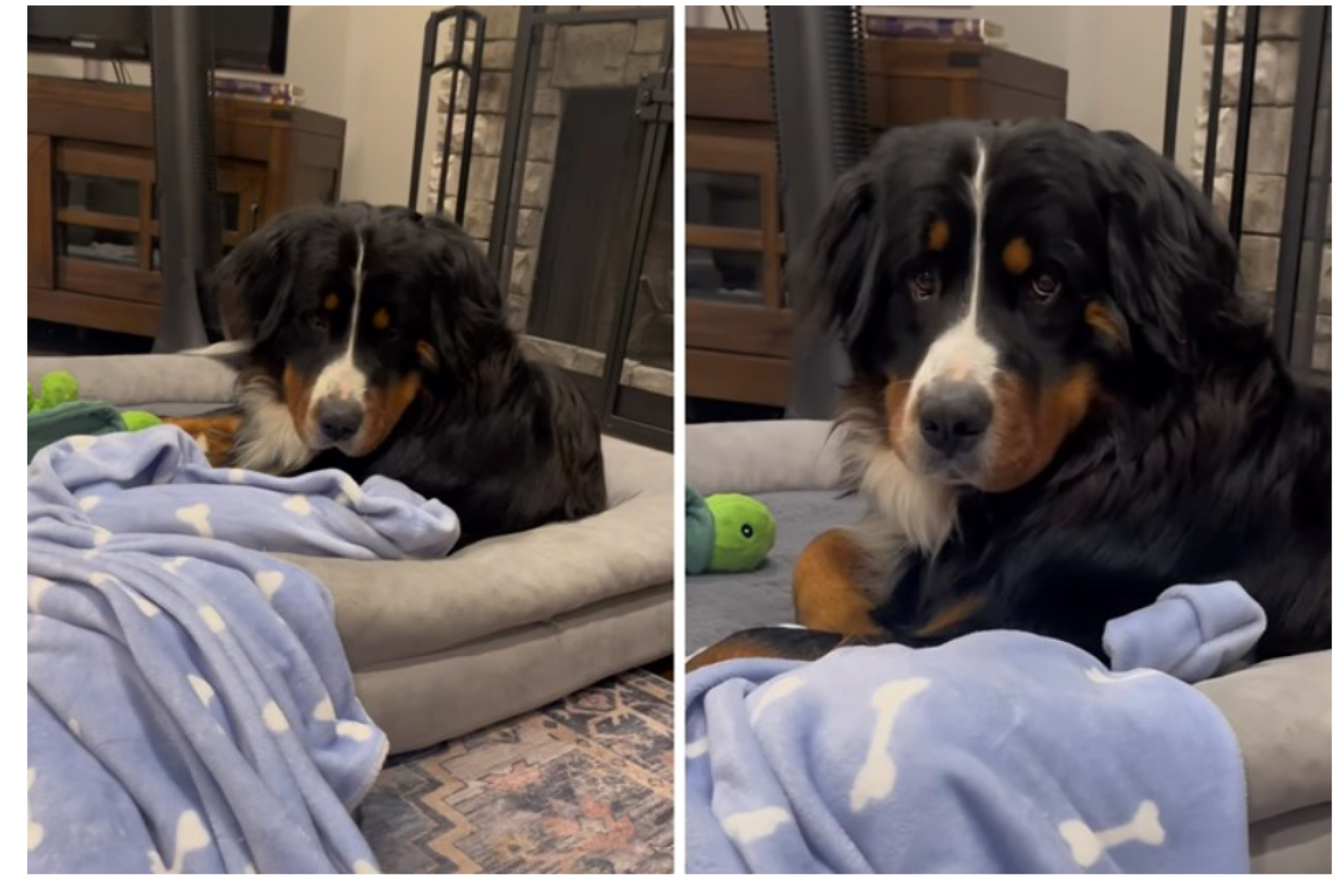 media-libraryrvep99khfolbdvNnkch