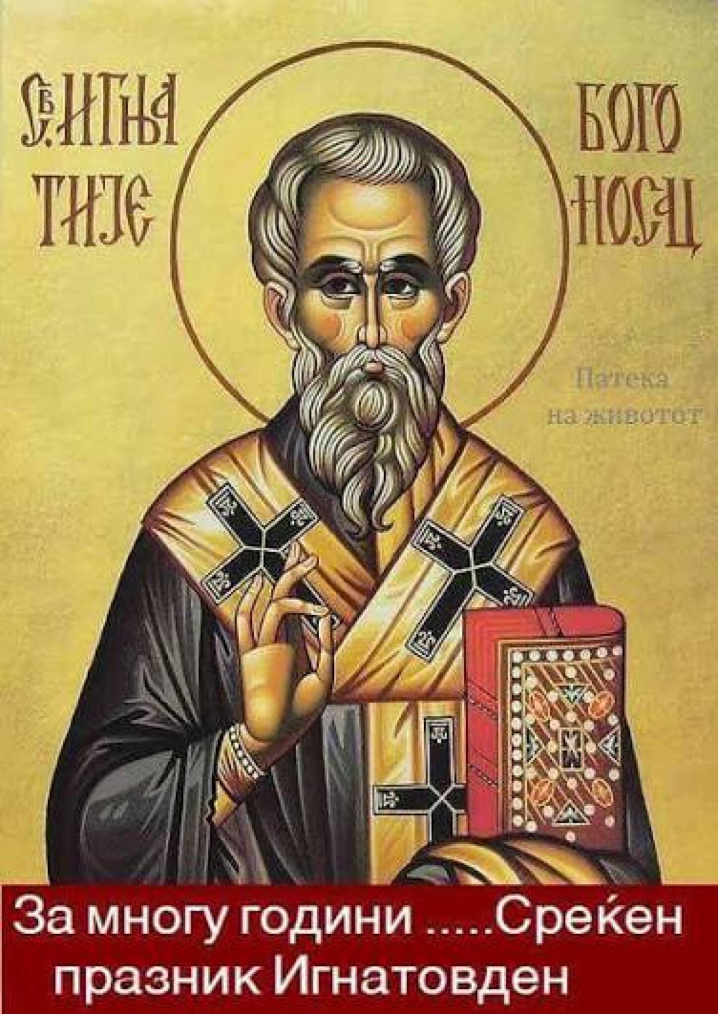 media-library7v30g9ljqc8gfOkKAyK