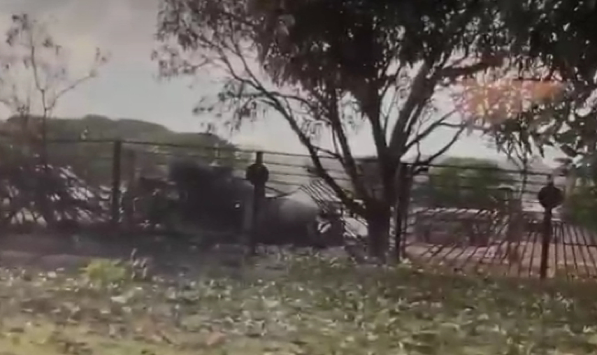 media-librarym593sn23o06r1u56q36