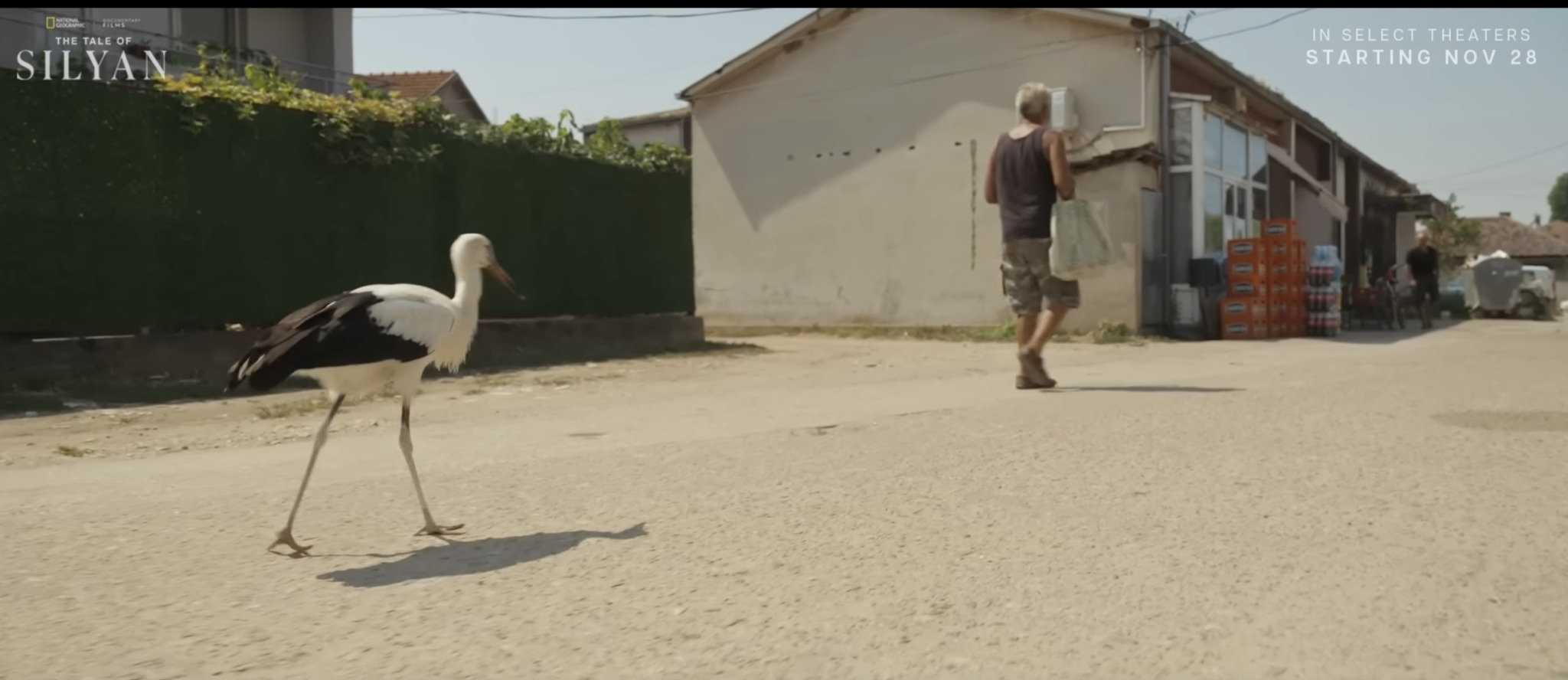 media-librarymjq1mhl2uimu9hMevK0