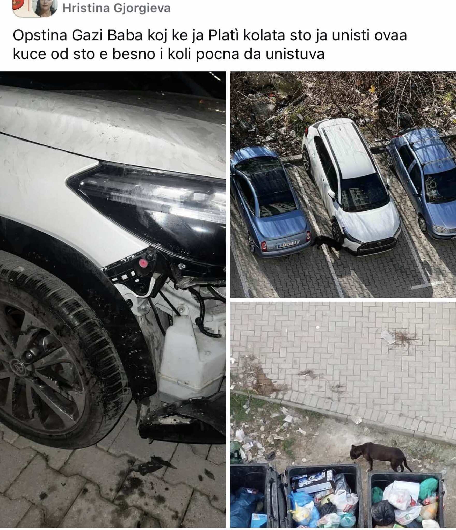 media-libraryrjfoq6dkiebd723hFFC