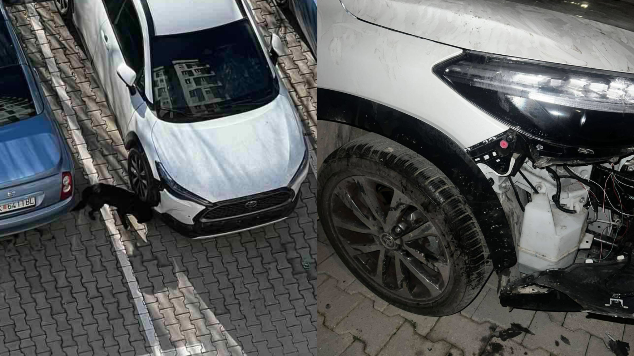 media-libraryl4vh674e7on01hzgYPt