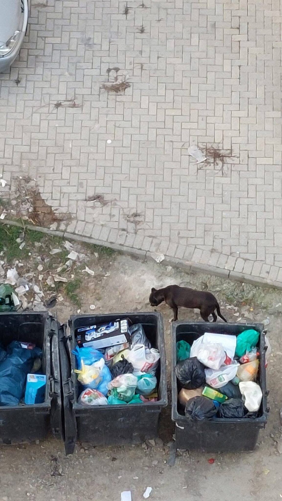 media-libraryd3r4b7uuimgfbNrM3BB