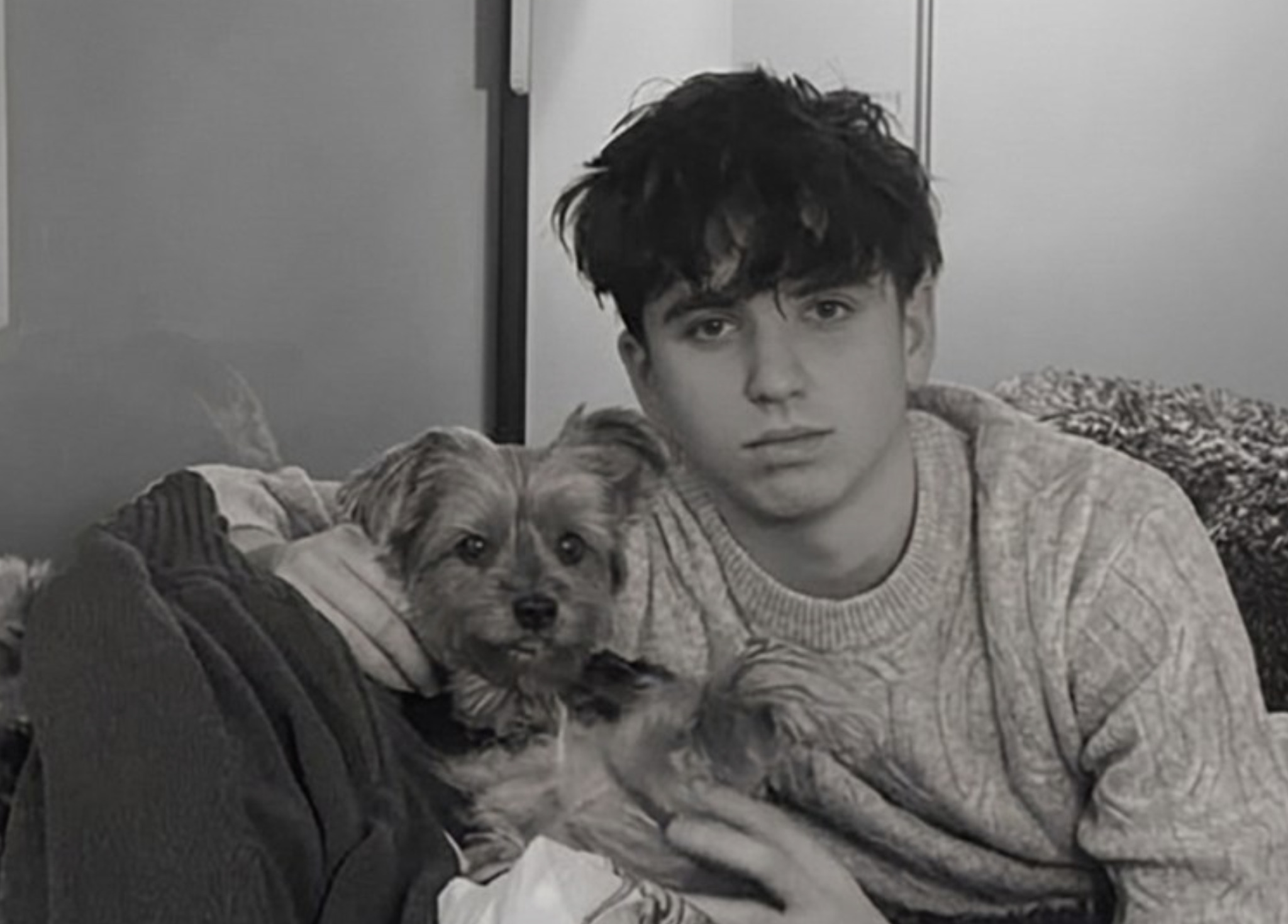 media-librarygmolt7qn46phenU0TRR