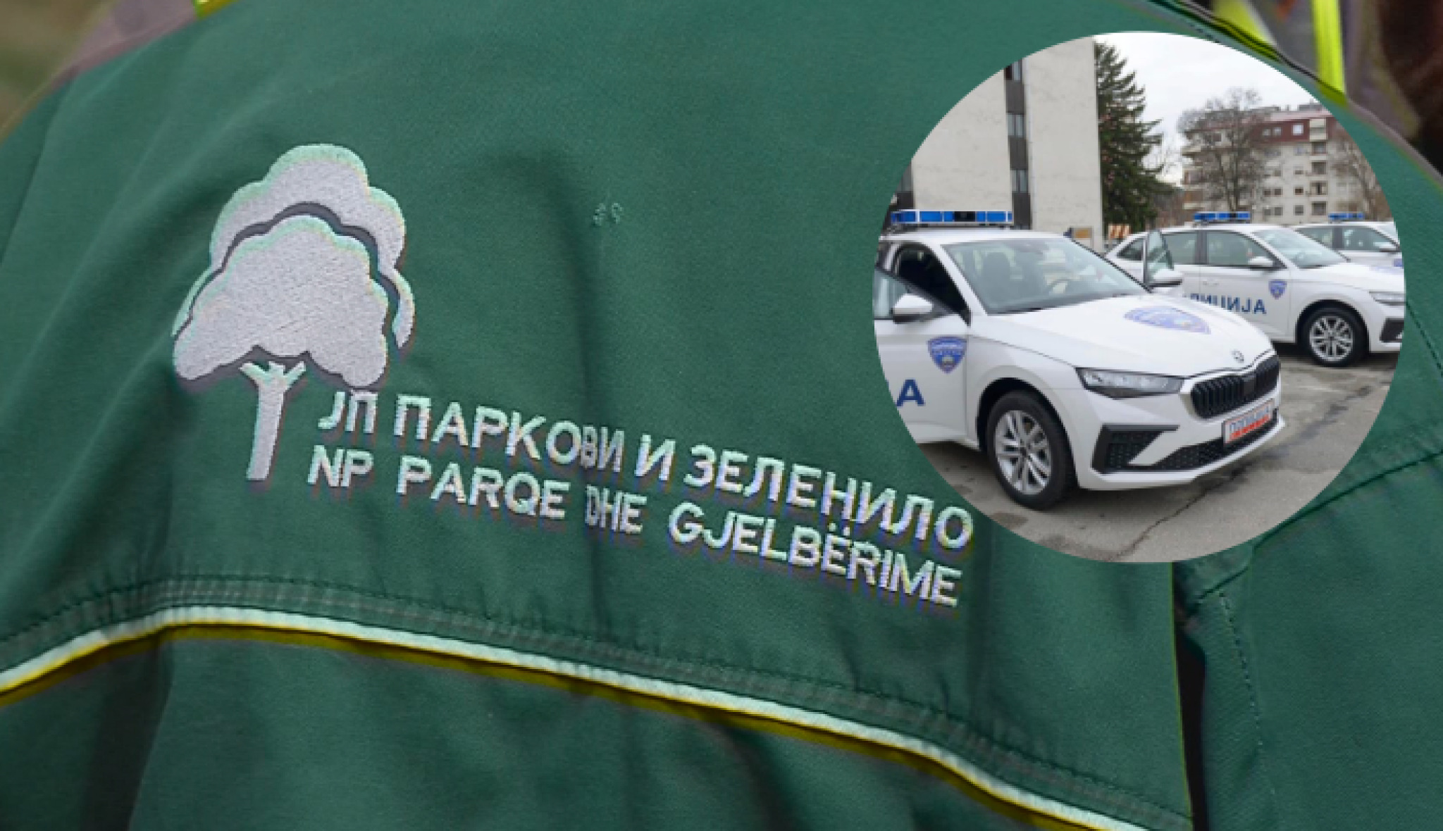 media-libraryd8btfq8b9h6tbQApj07