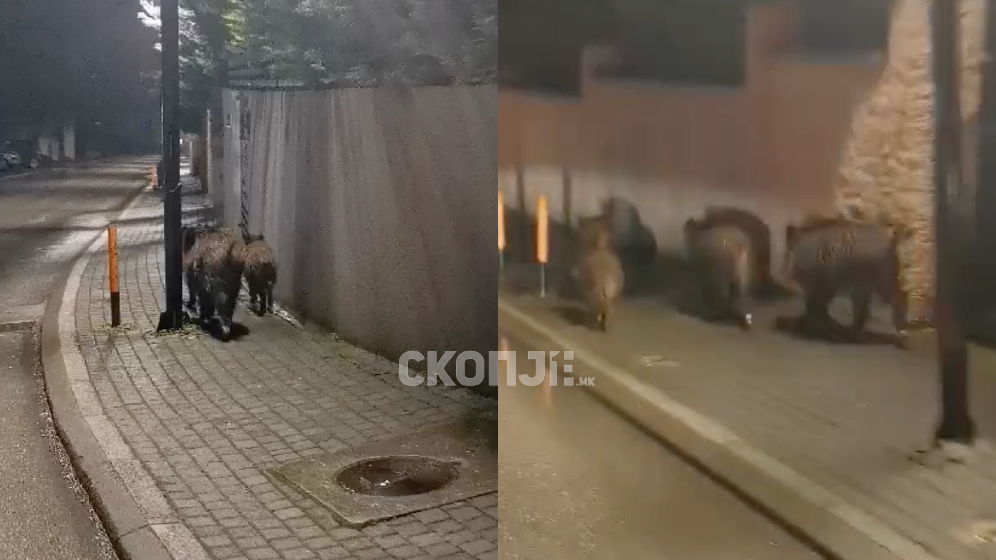 media-libraryg064kii2nus66mTs9B7