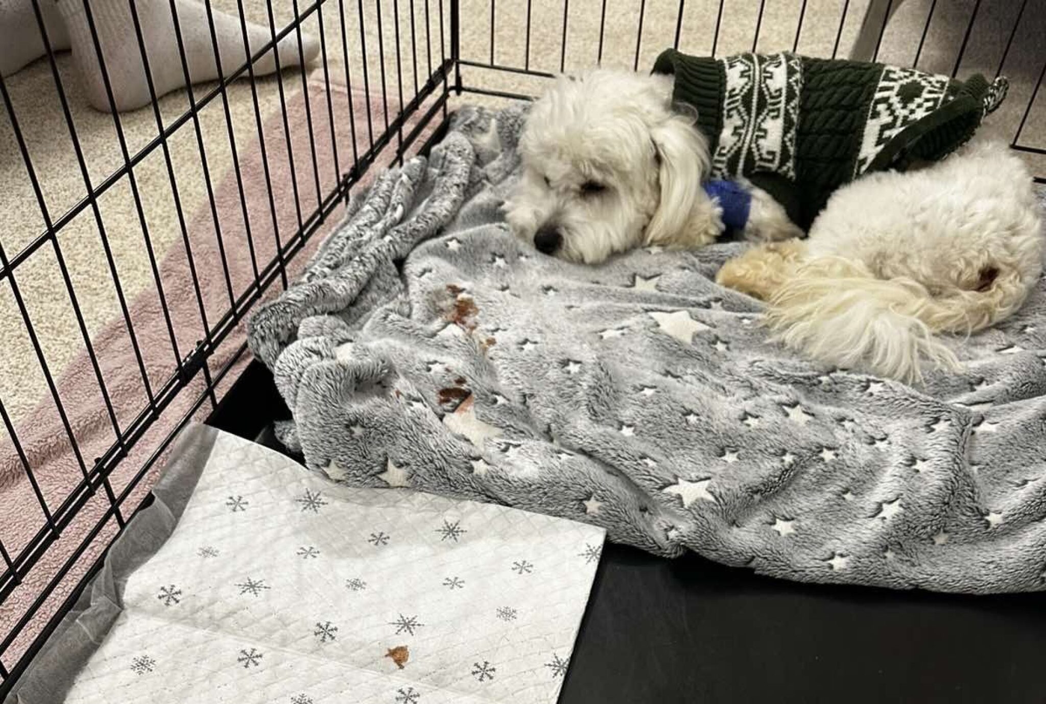 media-libraryaoattkbje6hqagWV6fk