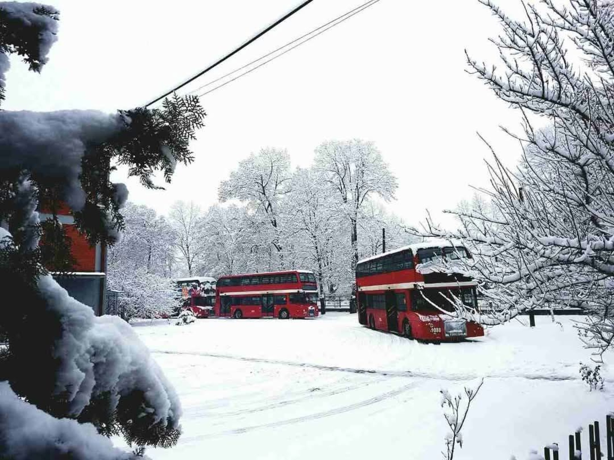 media-library1ll9sle6u3sjaWlfPGV