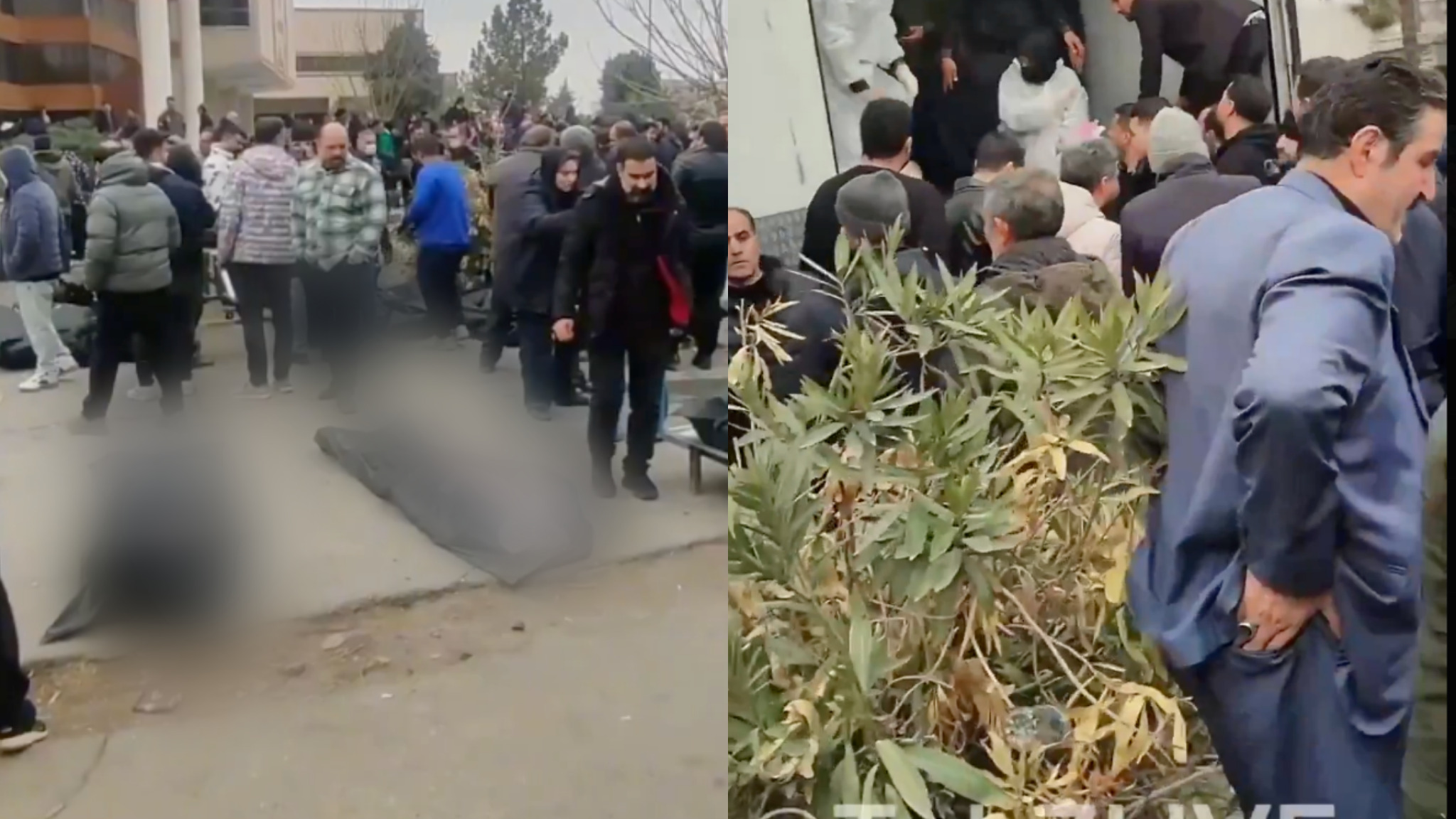 media-library5lbq3l1baqte2CC4fFw