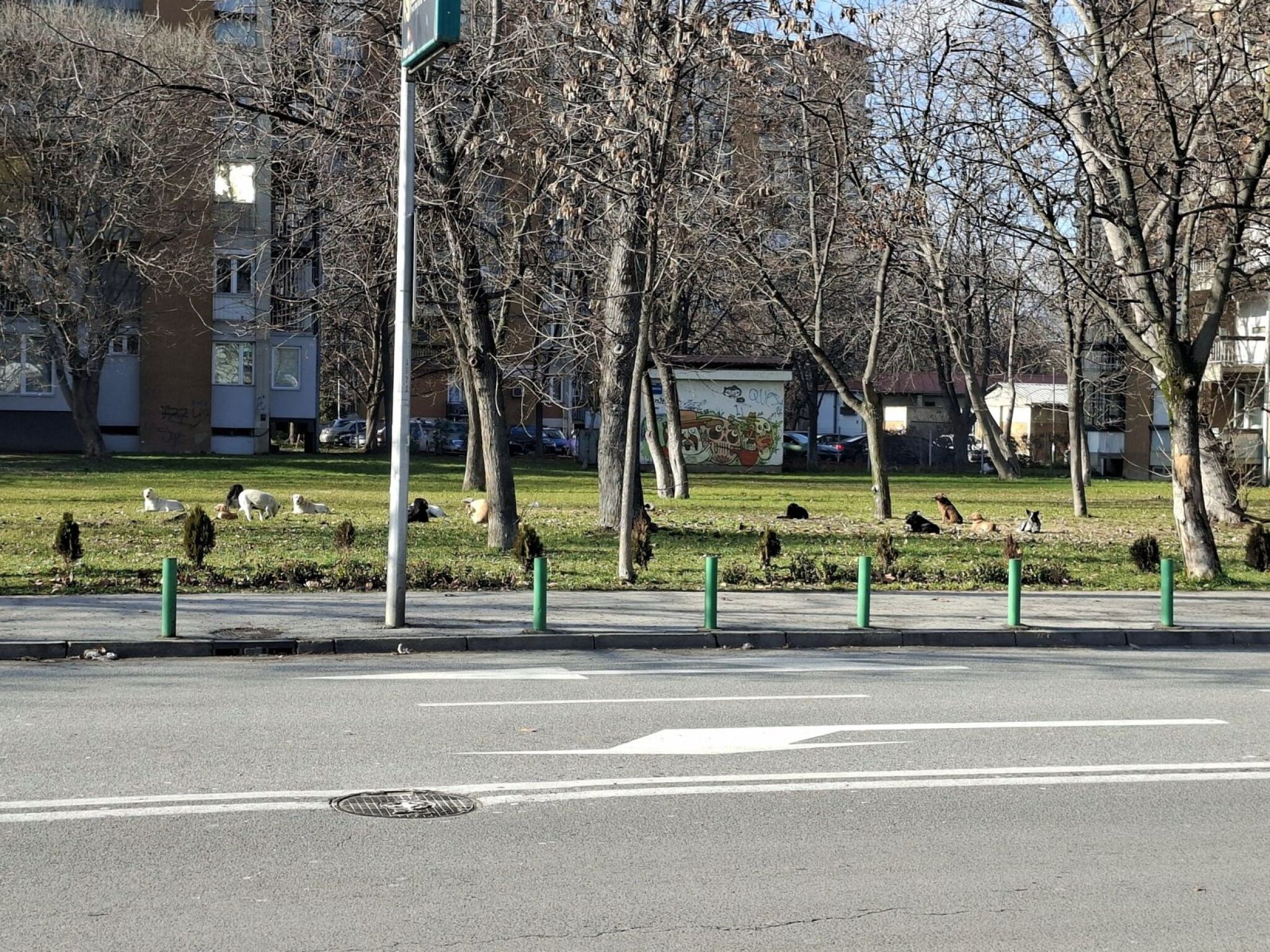 media-library6efq0kjcbkvhb5r16Wx