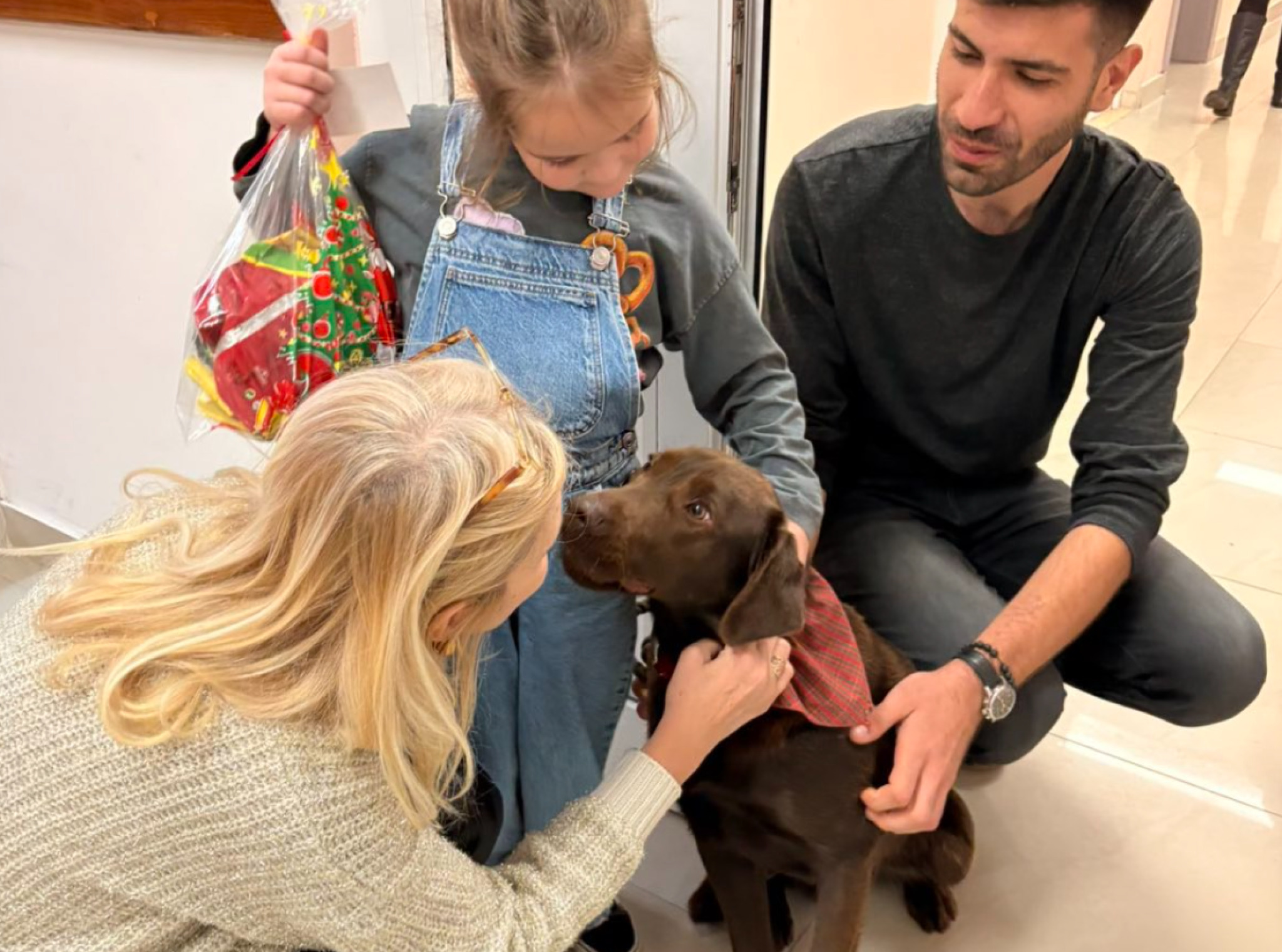 media-library1v1s0vhsm6113mPftCO