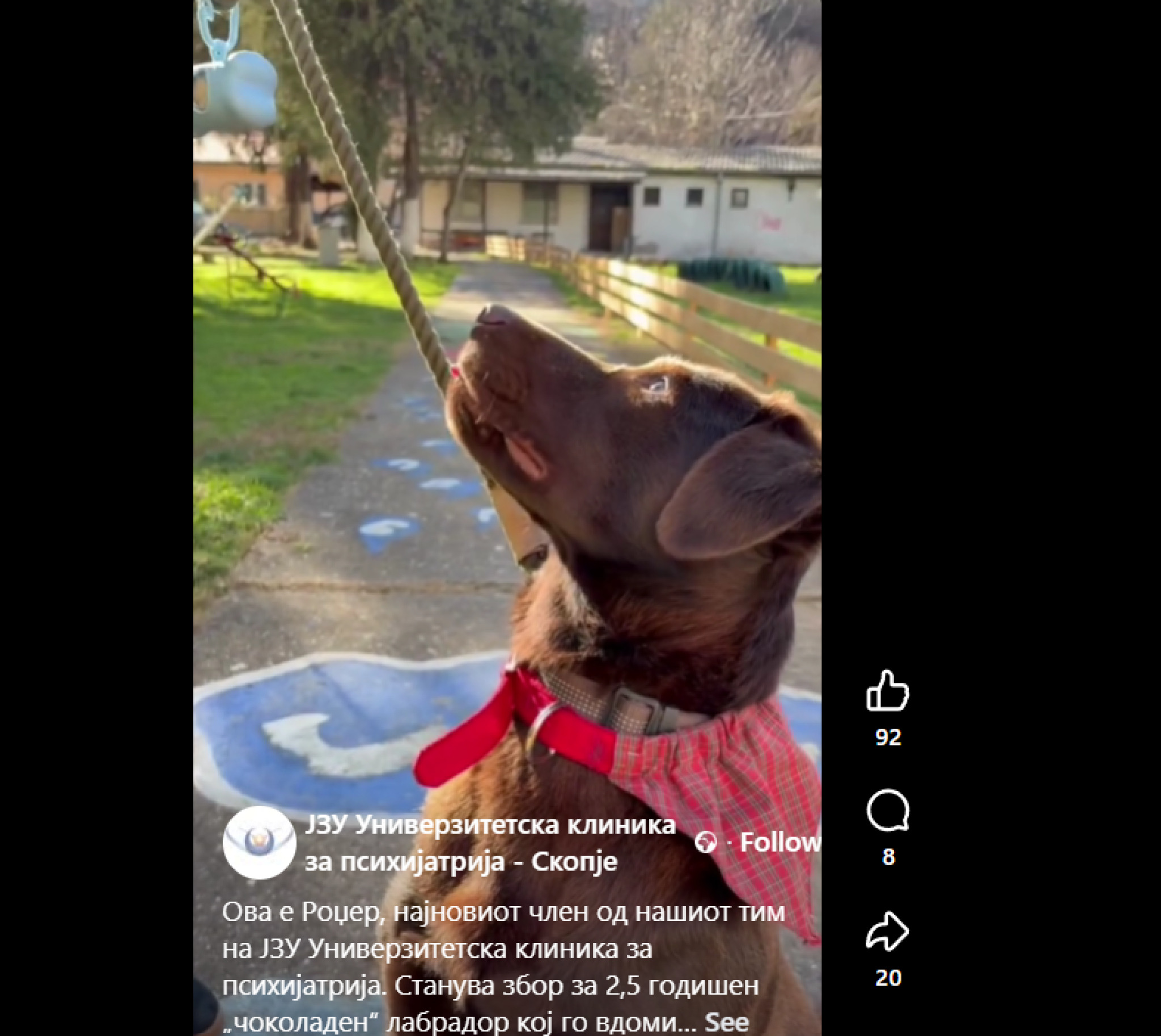 media-librarygr5ch8gmcilf1pFZ3n8